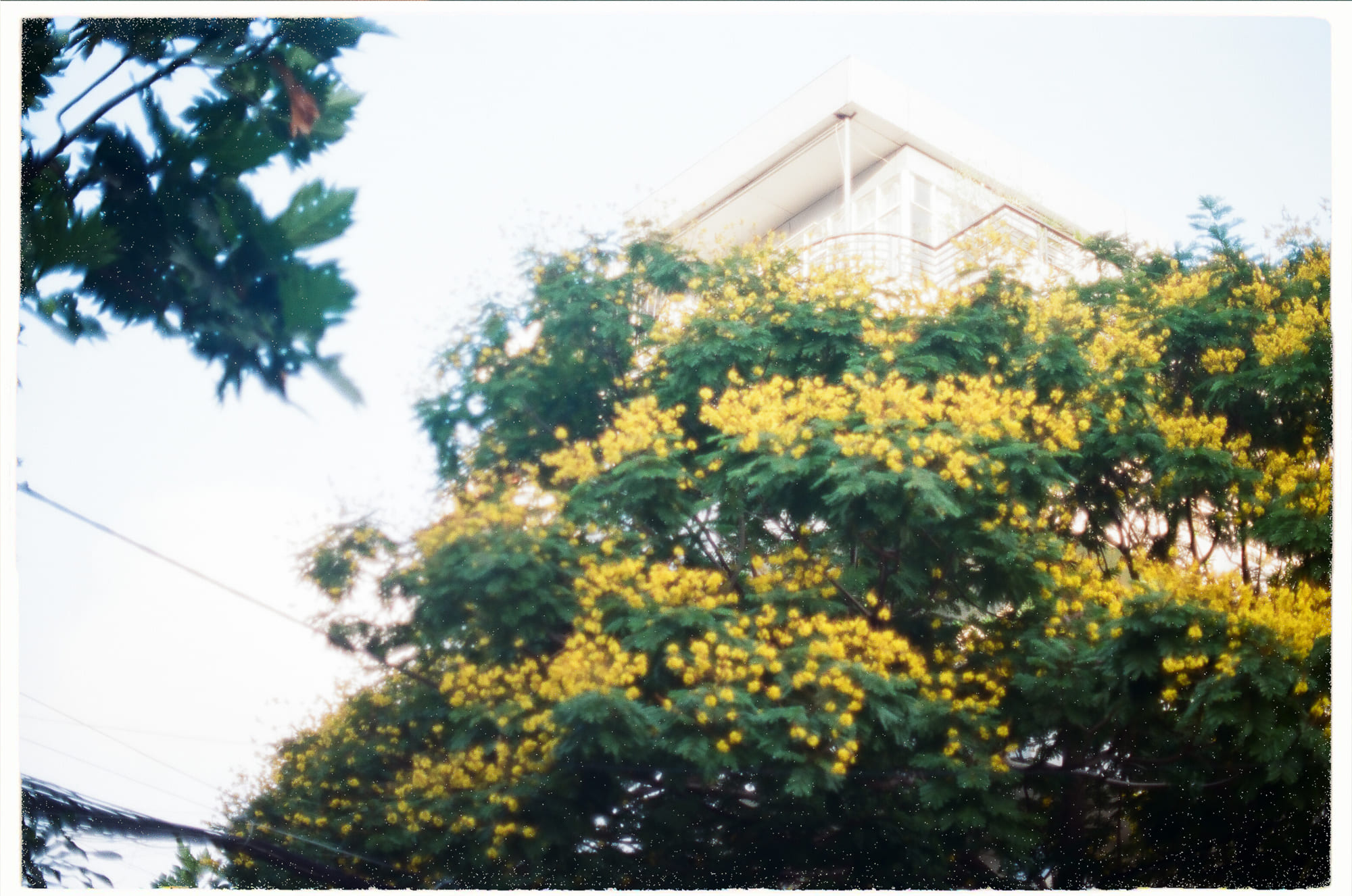 Diễn từ Nobel Văn học 1991 – Viết và tồn tại, Nadine Gordimer