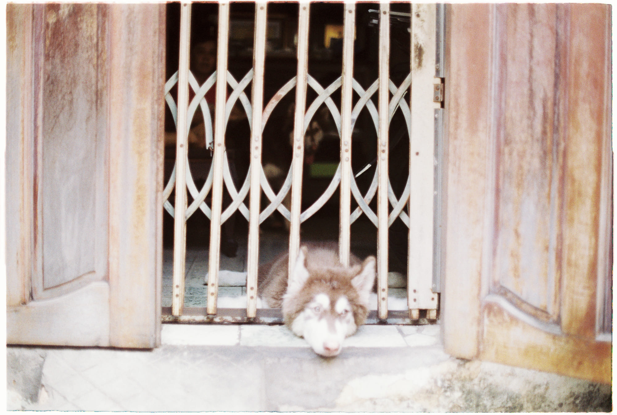 Bảng tuần hoàn các ngoại hành tinh được tìm thấy