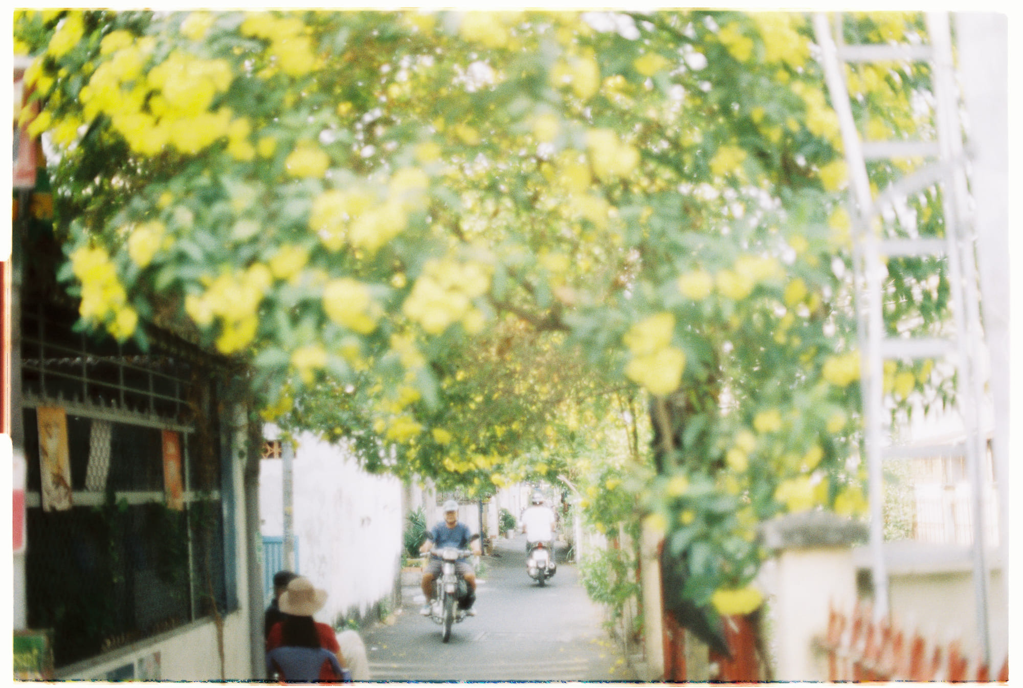 Ngũ căn (Pañcendriya – 五根) và Ngũ lực (Pañca Bala – 五力) là gì? 666 – ton giao, phat giao, ngu can, ngu luc, tin, tan, niem, dinh, tue, thuc hanh ton giao, kien thuc phat giao, kien thuc ton giao.