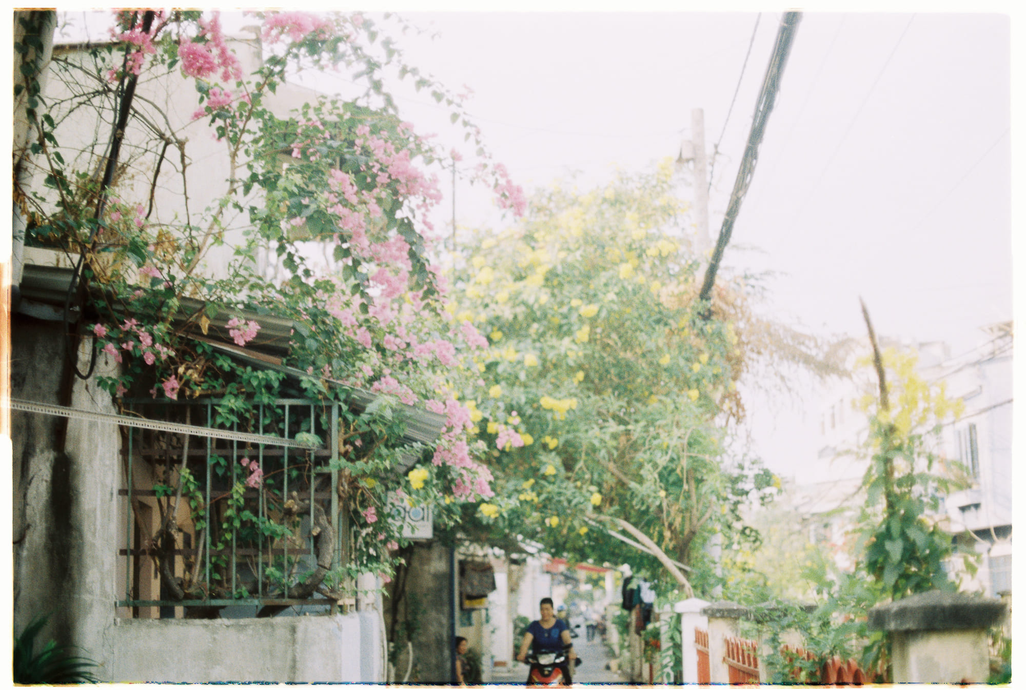 Làm thế nào để xây dựng một thứ trường tồn?