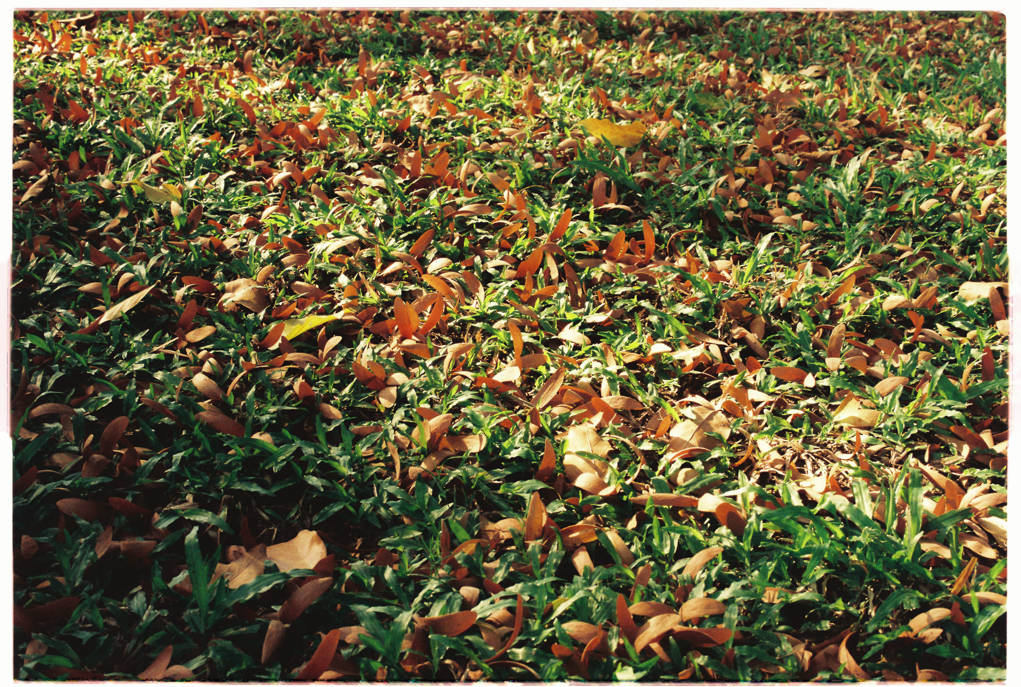 Bản sắc Do Thái trong thời đại toàn cầu hóa và khủng hoảng chính trị