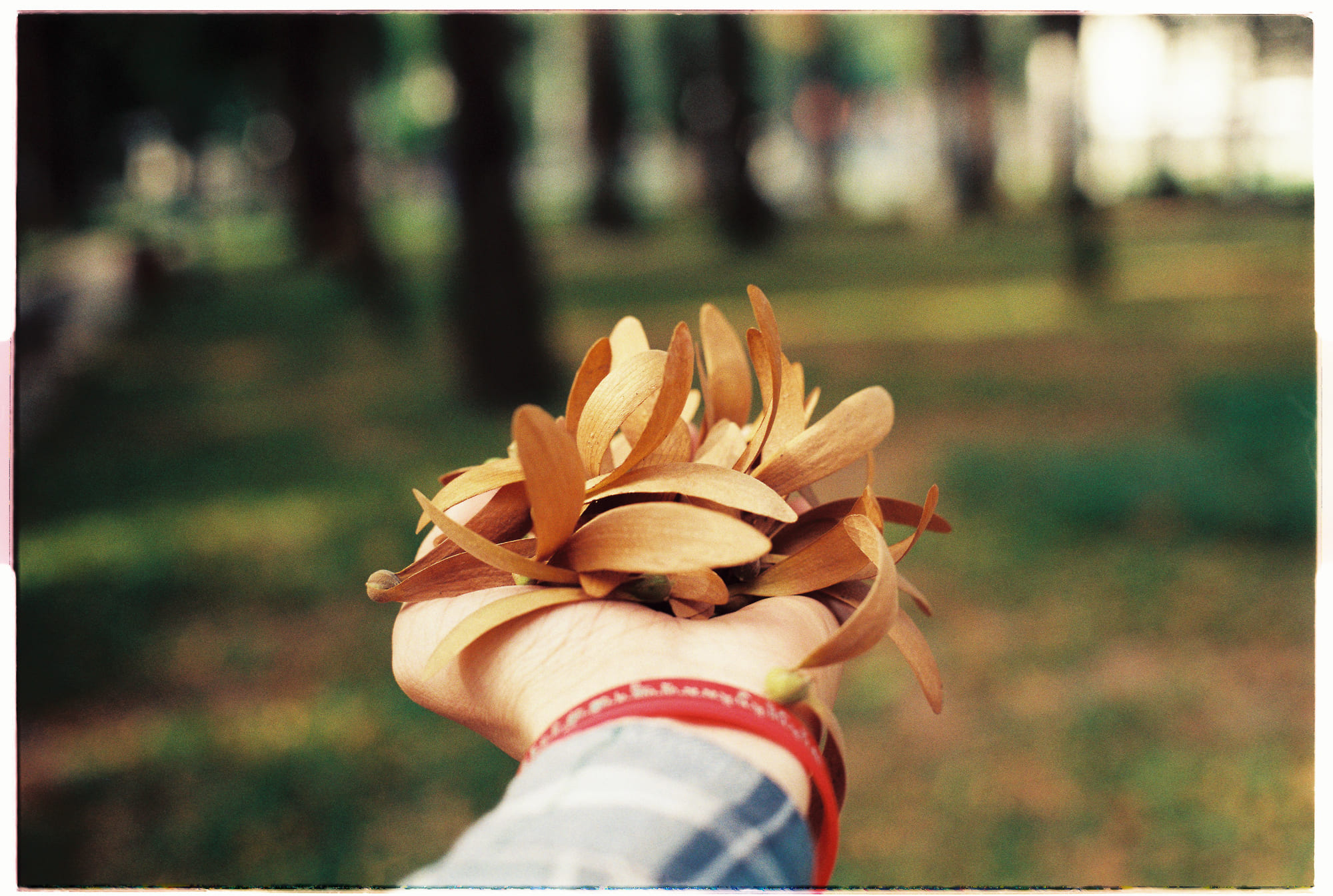 Trung tâm nghiên cứu văn học, phát triển nhà văn Việt Nam