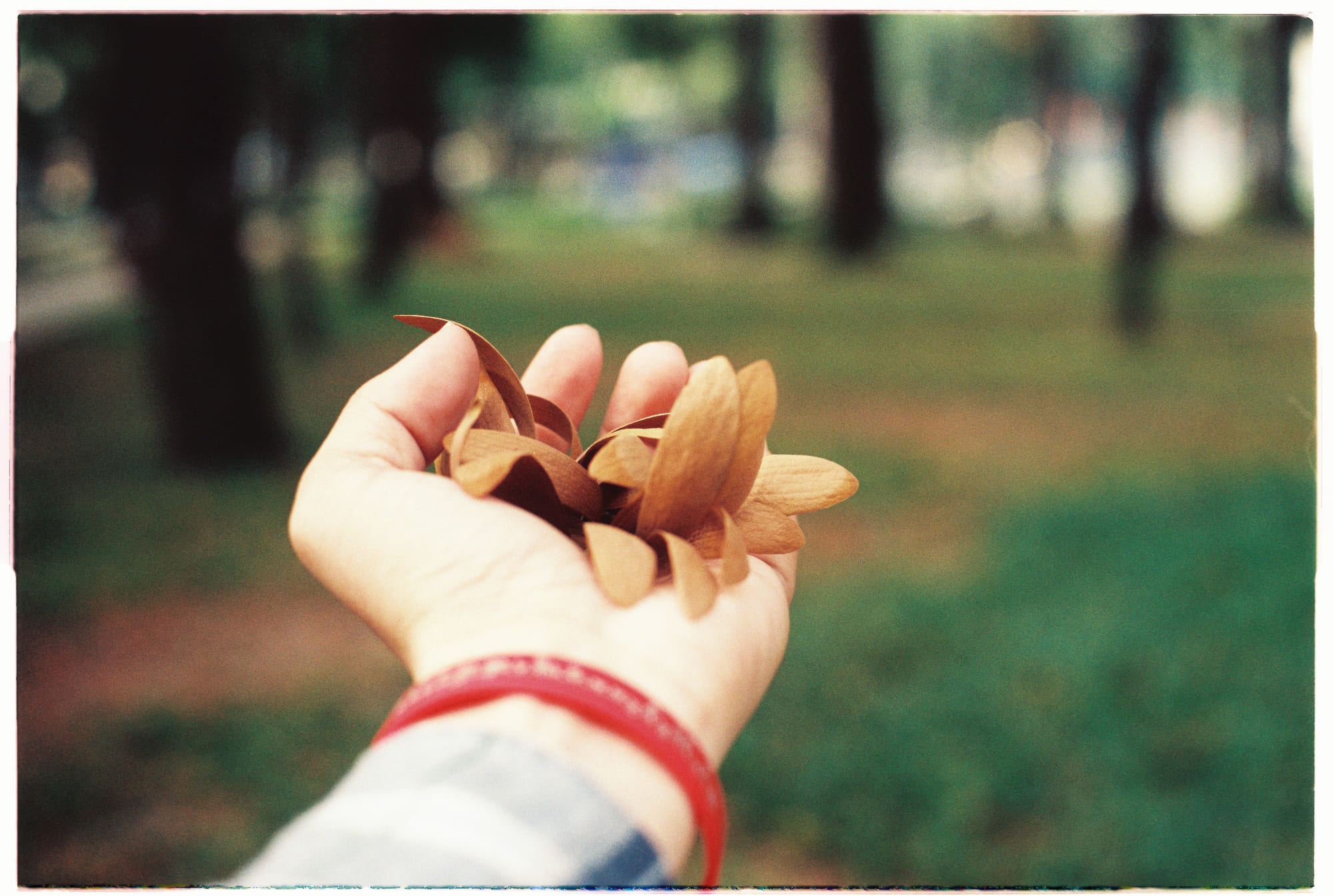 Sự thật trong trò chơi điện tử