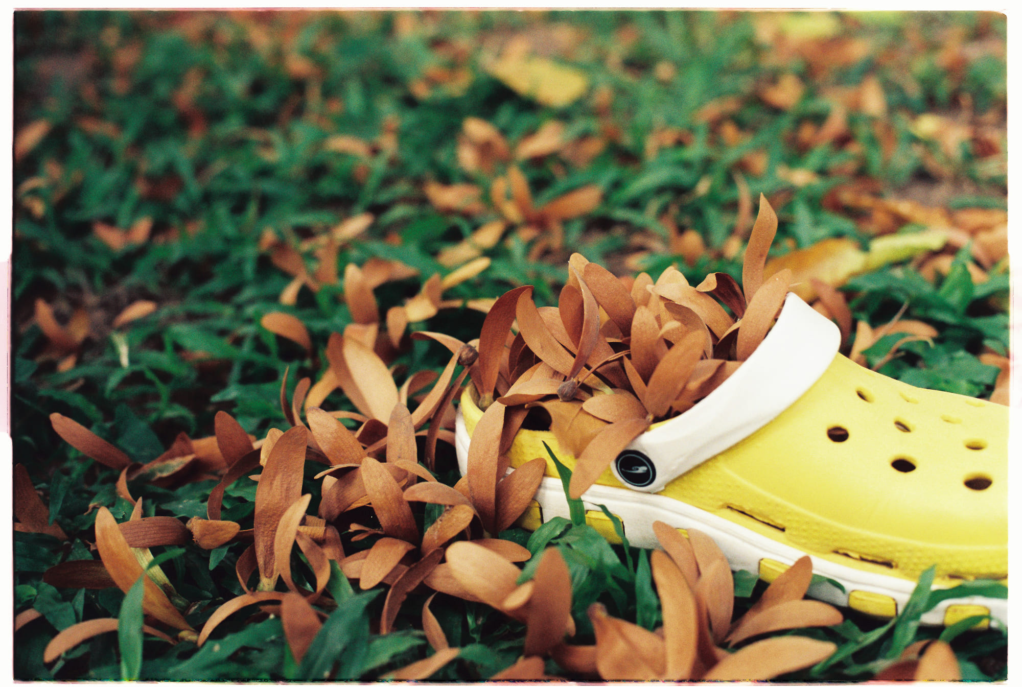 Khi khoa học và đạo đức va chạm