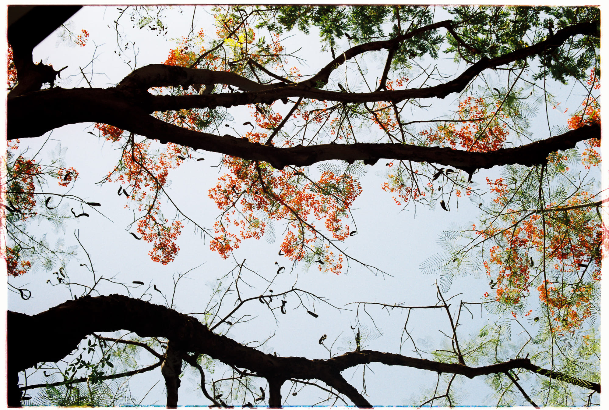 Cảm nhận hạnh phúc như thế nào cho hiệu quả?