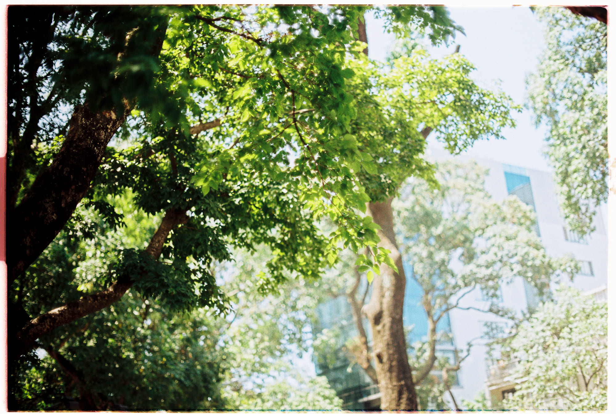 Văn học thế giới là gì – nhìn từ Stockholm? Văn học thế giới là gì – nhìn từ Stockholm? 793 – nobel, nobel van hoc, nobel van hoc 1990, nobel van hoc 1991, nobel van hoc 1992, nobel van hoc 1993, nobel van hoc 1994, nobel van hoc 1995, nobel van hoc 1996, nobel van hoc 1997, nobel van hoc 1998, nobel van hoc 1999, nobel van hoc 2000, nobel van hoc 2001, nobel van hoc 2002, nobel van hoc 2003, nobel van hoc 2004, nobel van hoc 2005, nobel van hoc 2006, nobel van hoc 2007, nobel van hoc 2008, nobel van hoc 2009, dien tu nobel van hoc, dien tu nobel, dien tu nobel van hoc 1990, dien tu nobel van hoc 1991, dien tu nobel van hoc 1992, dien tu nobel van hoc 1993, dien tu nobel van hoc 1994, dien tu nobel van hoc 1995, dien tu nobel van hoc 1996, dien tu nobel van hoc 1997, dien tu nobel van hoc 1998, dien tu nobel van hoc 1999, dien tu nobel van hoc 2000, dien tu nobel van hoc 2001, dien tu nobel van hoc 2002, dien tu nobel van hoc 2003, dien tu nobel van hoc 2004, dien tu nobel van hoc 2005, dien tu nobel van hoc 2006, dien tu nobel van hoc 2007, dien tu nobel van hoc 2008, dien tu nobel van hoc 2009, dien tu van hoc.