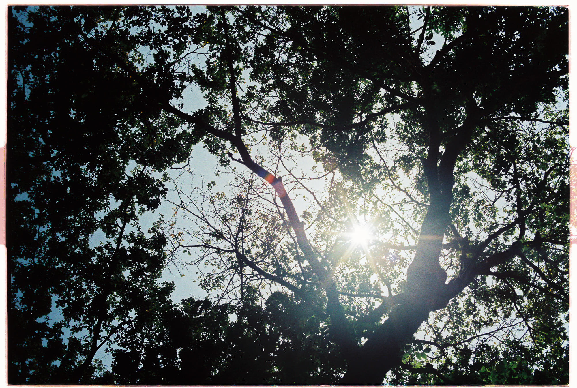 Trái đất có phải là trung tâm của vũ trụ không?