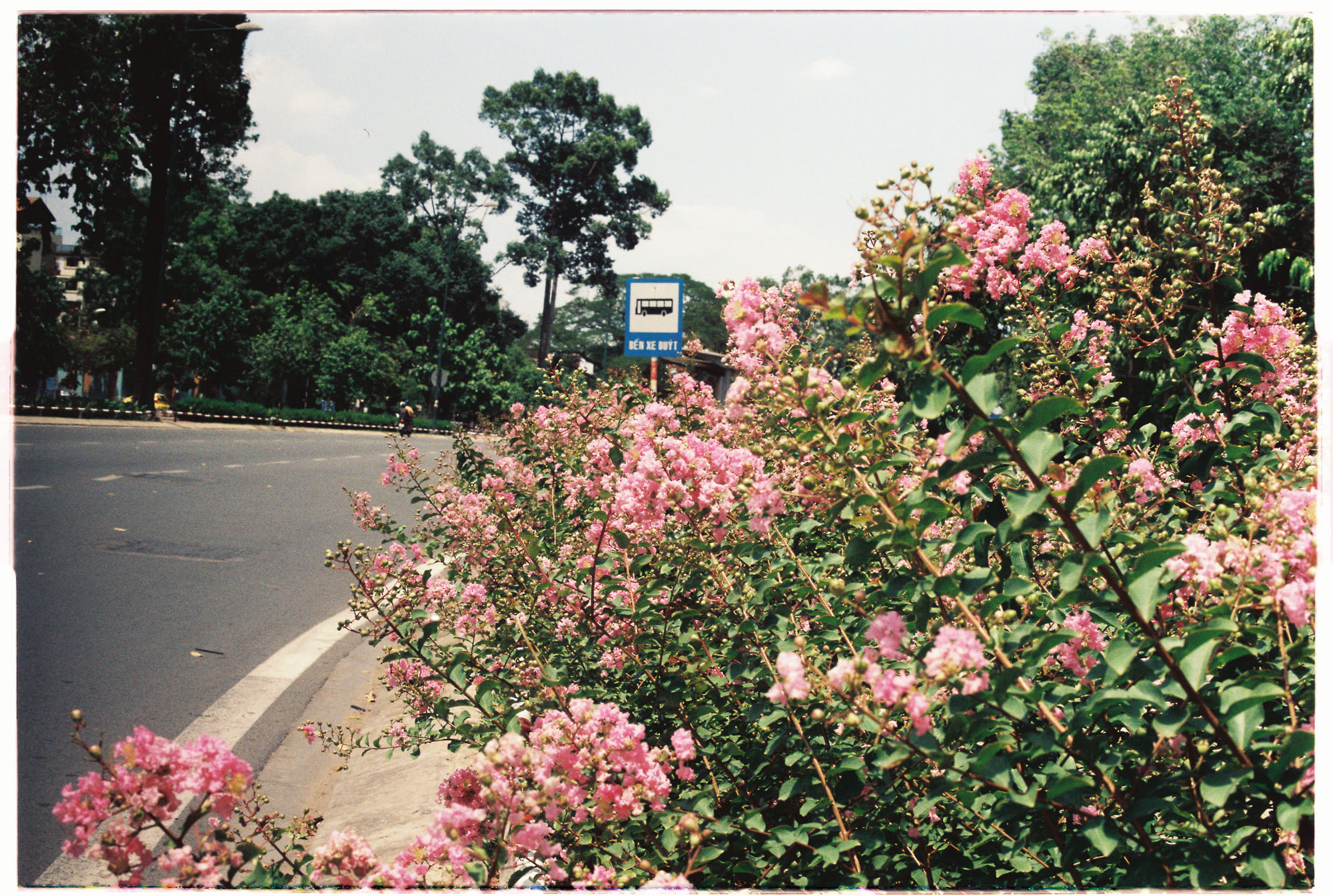 Giao tiếp giỏi tránh biệt ngữ khoa trương