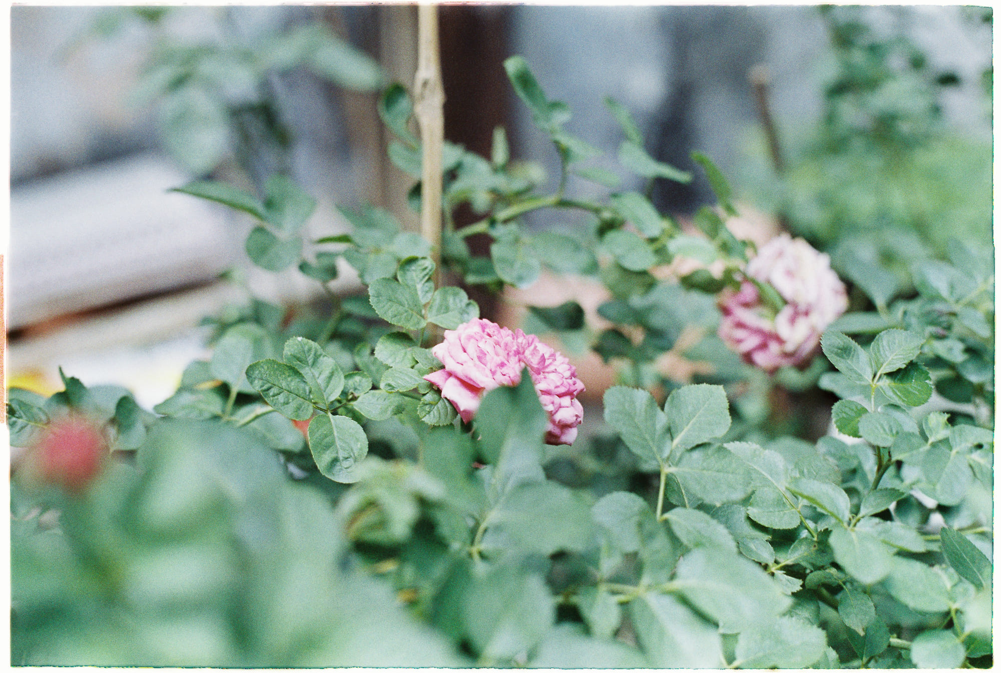 80 thói quen nhỏ giúp thay đổi cuộc sống của bạn