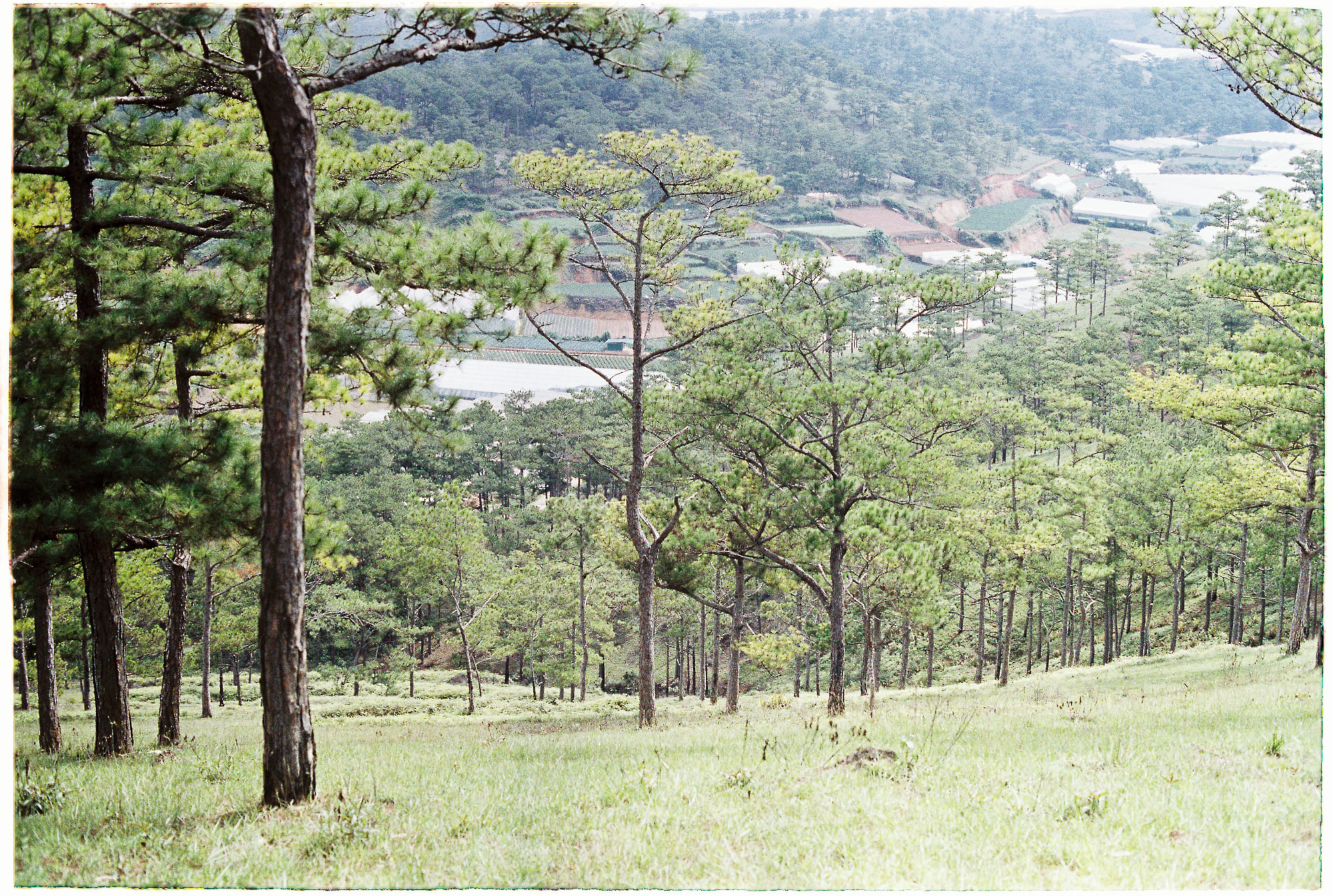 Mưa axit nguy hiểm hay chỉ là lời tiên tri 646 – mua acit, mua axit, mua, bien doi khi hau, moi truong, trai dat, khoa hoc, mua acid nguy hiem.