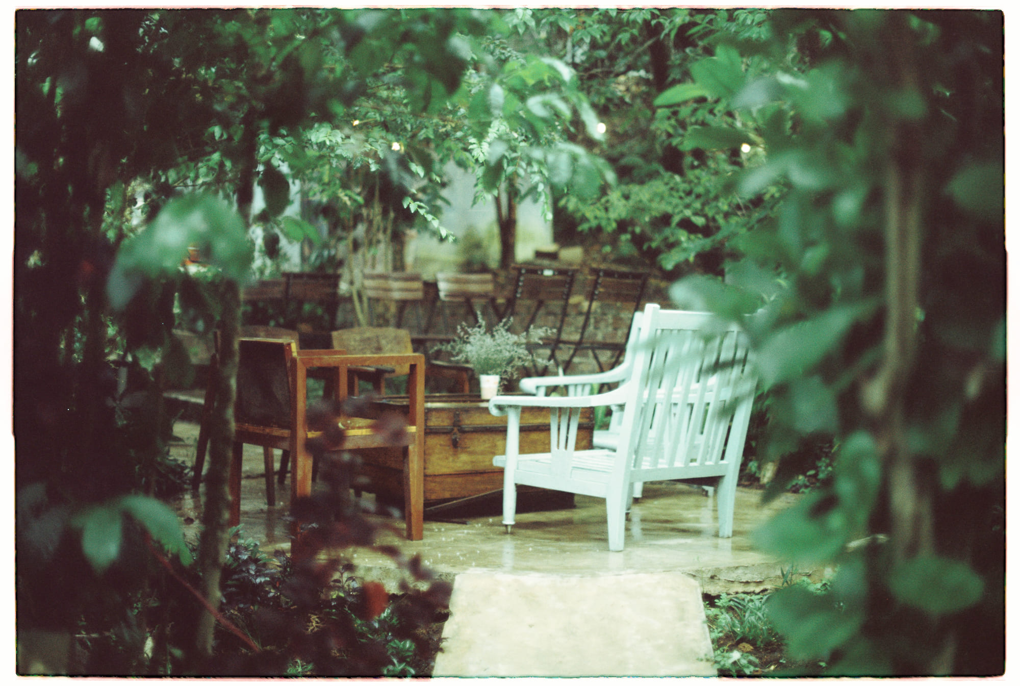 Trung tâm phát triển văn hóa đọc Nhà văn