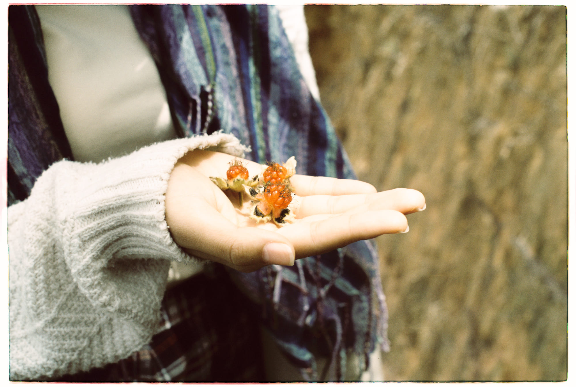 Trung tâm phát triển văn hóa đọc Nhà văn