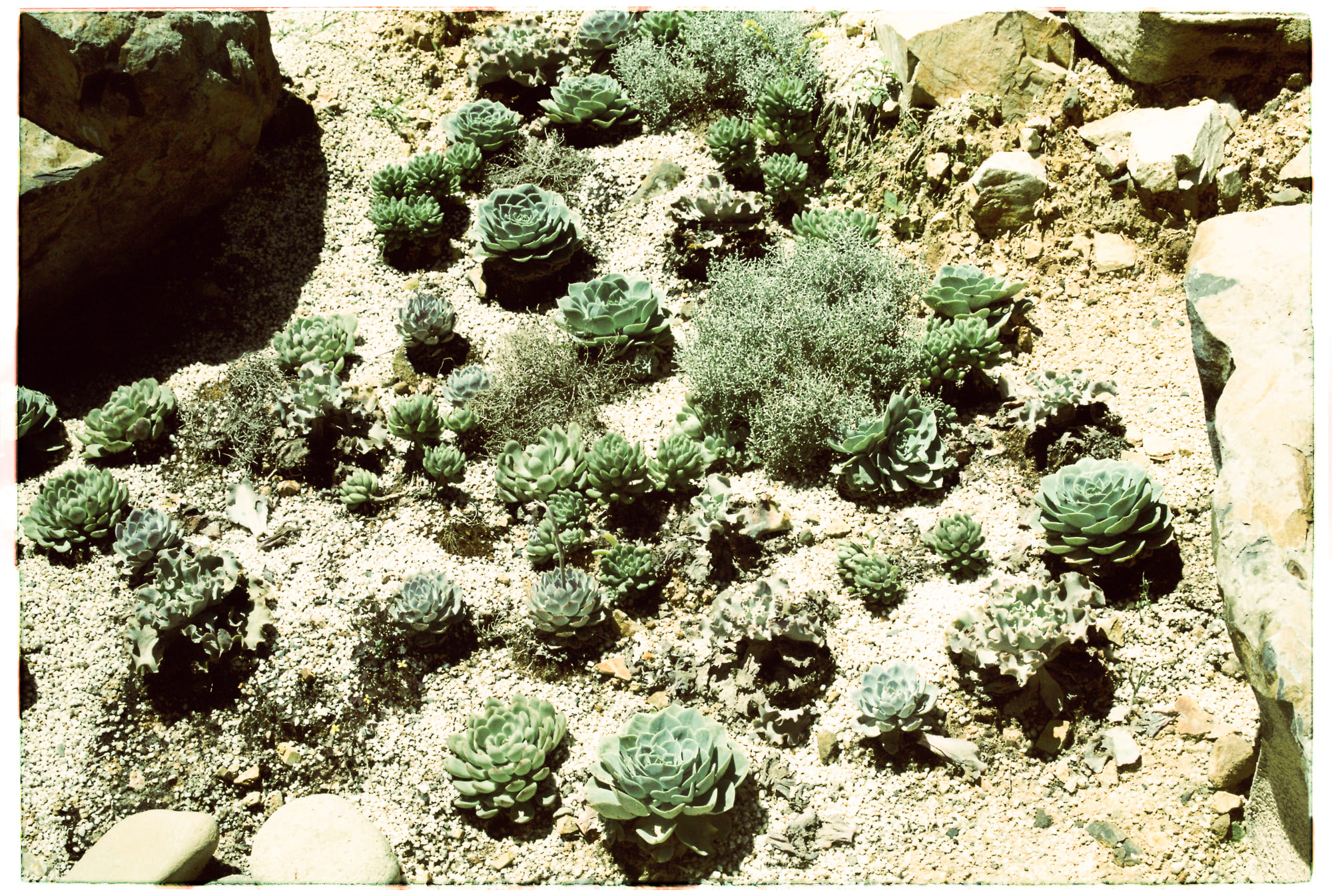 Biết trước tương lai, bạn có chọn cuộc đời mình