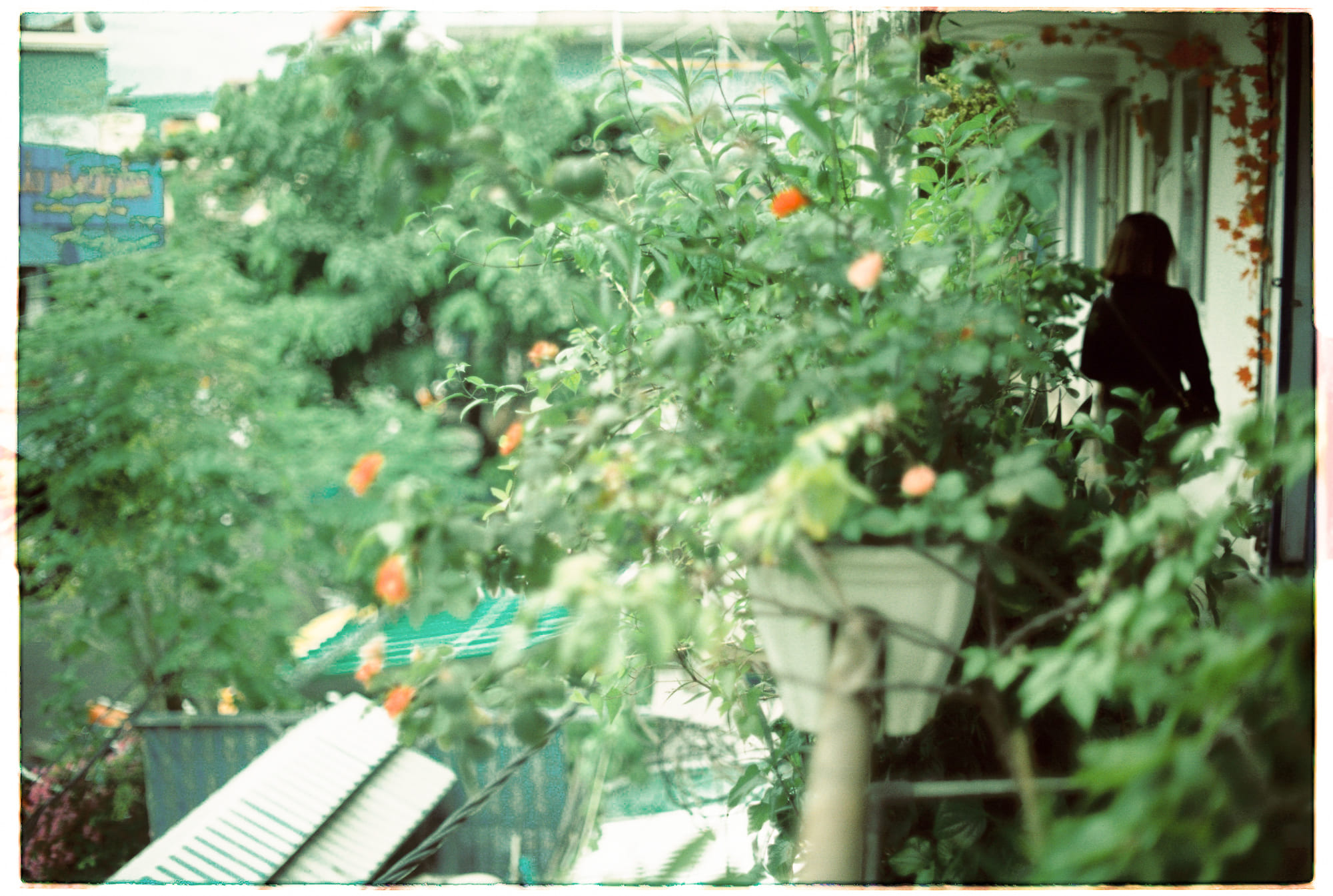 Di sản văn hóa Do Thái qua hai nghìn năm Diaspora