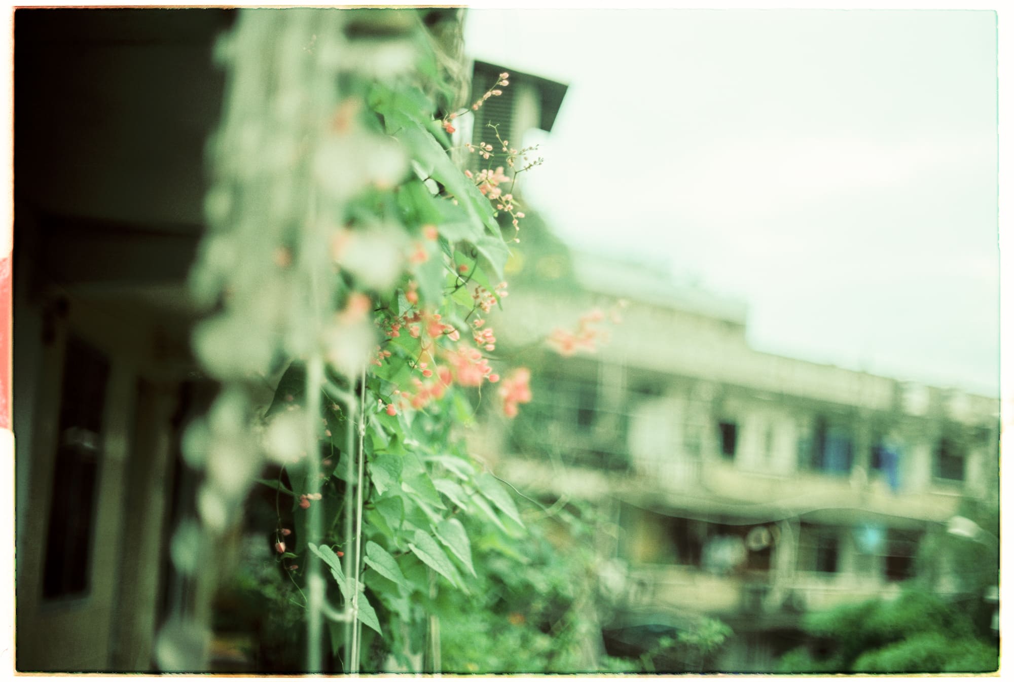 Trung tâm phát triển văn hóa đọc Nhà văn