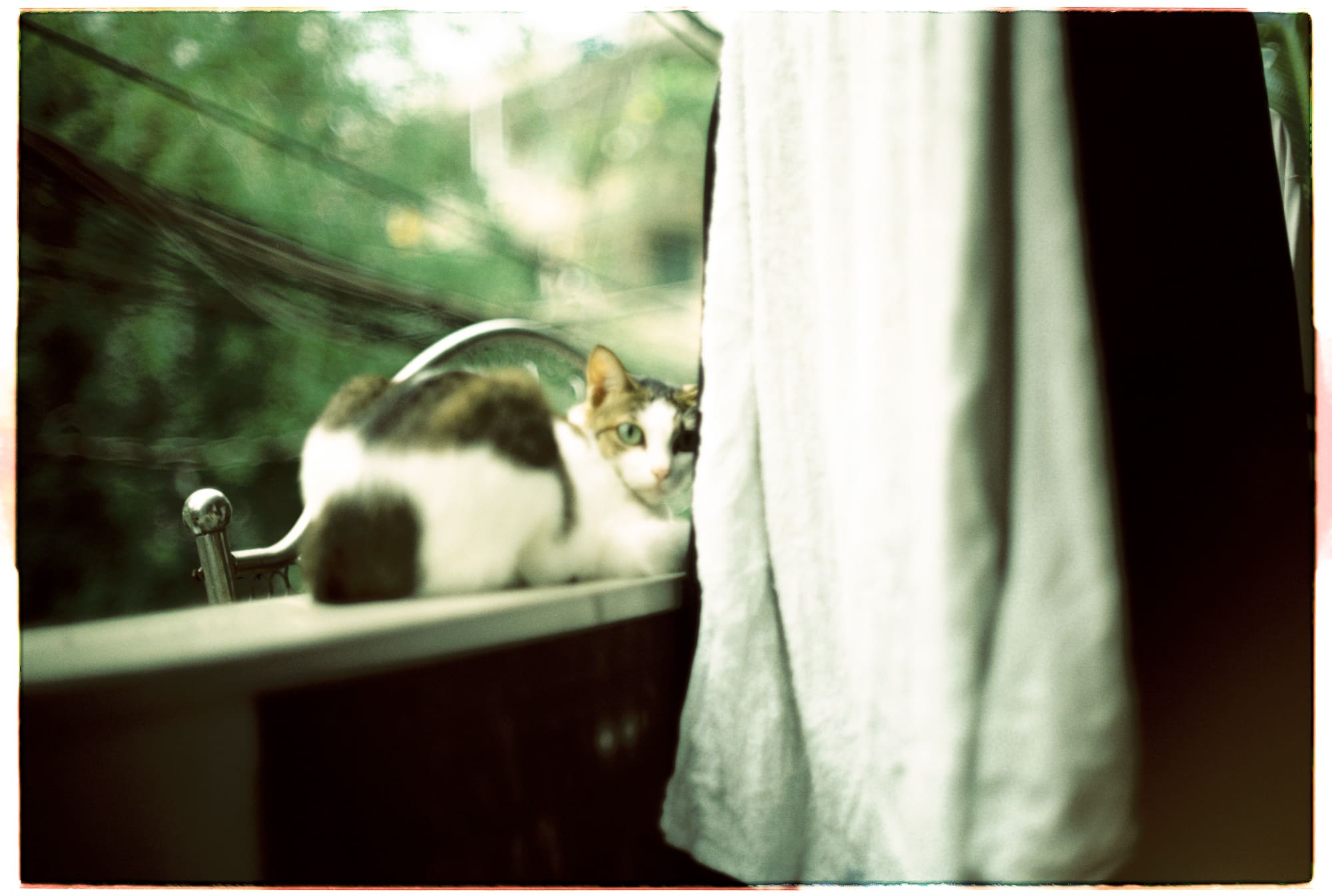 Khai sáng Do Thái và cuộc va chạm với thế giới hiện đại