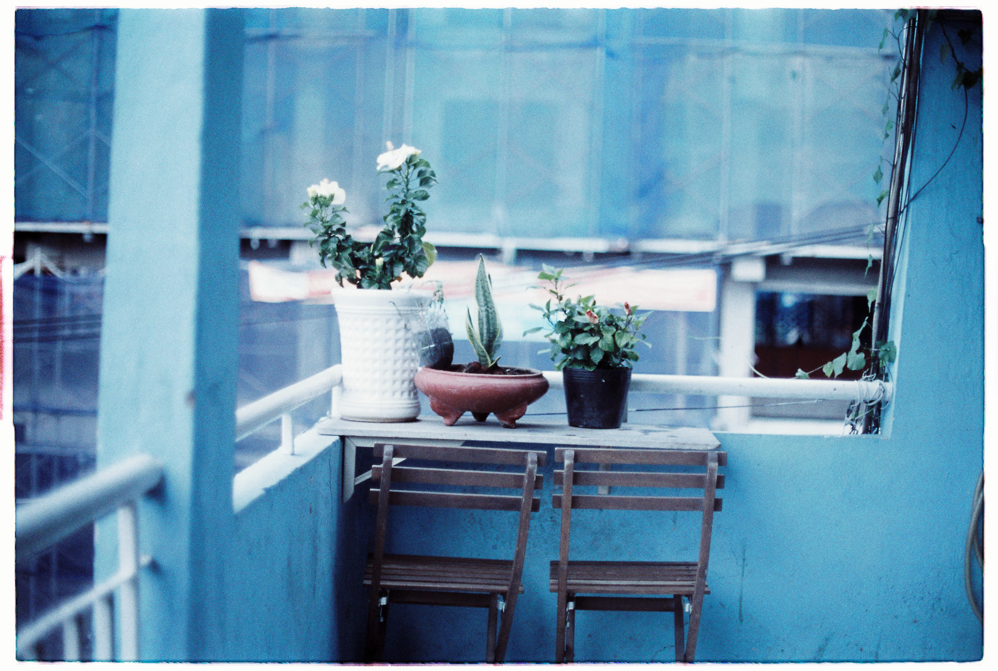 Trung tâm phát triển văn hóa đọc Nhà văn