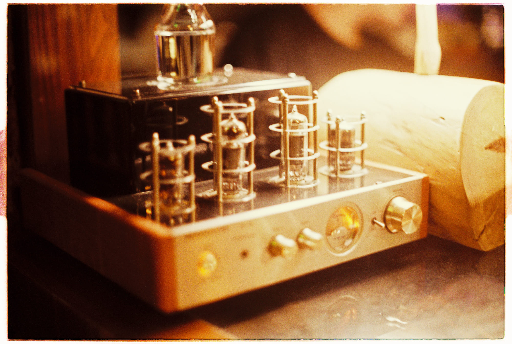 Sự sống dưới những tảng băng trôi