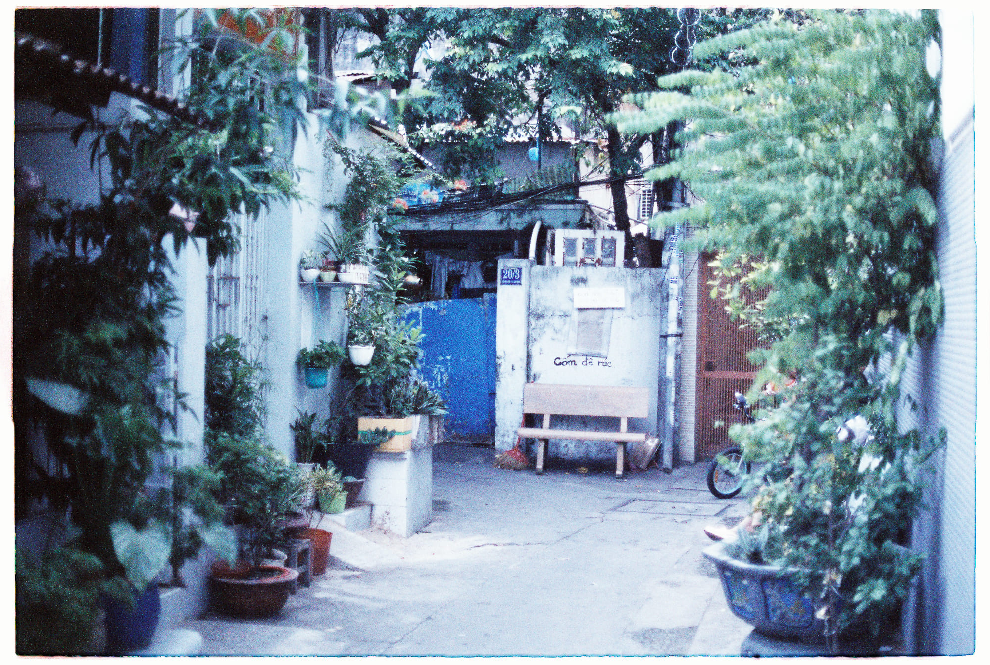 Bánh trái cây bị hiểu lầm và xem thường