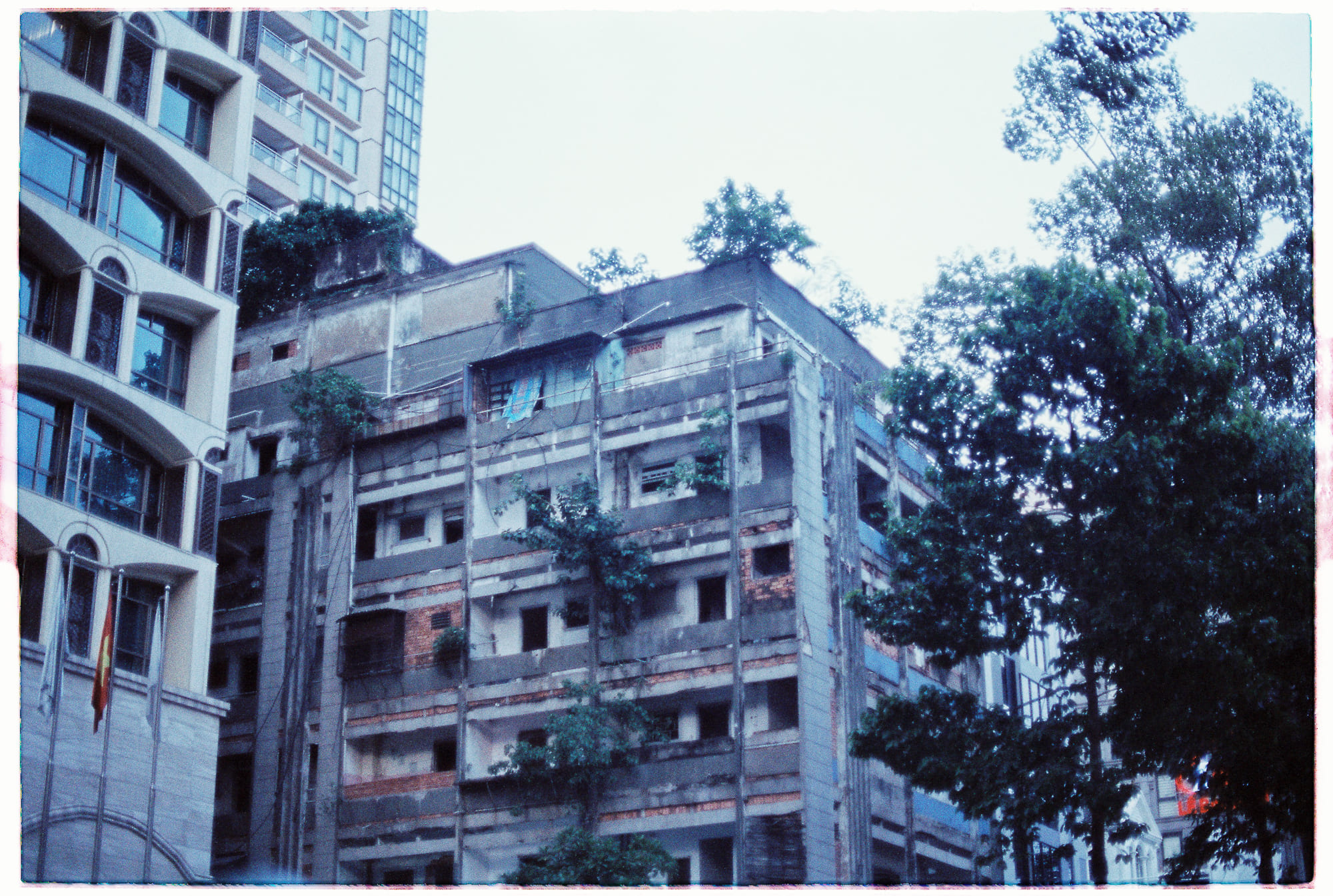 C3 |  Lịch sử phục hưng tiếng Hebrew của Do Thái hiện đại