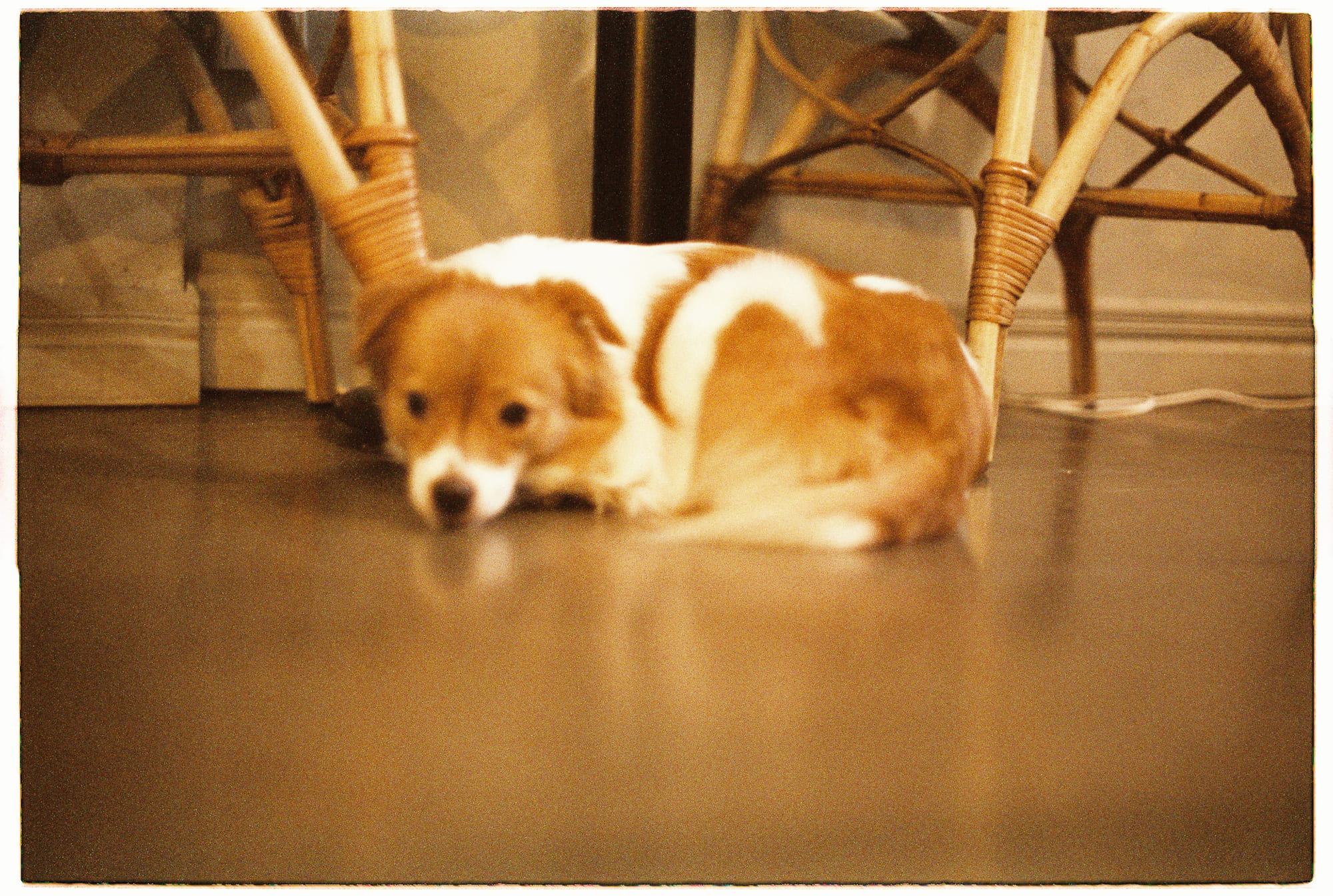 5 cuốn sách triết học đã định hình tư tưởng Trung Hoa