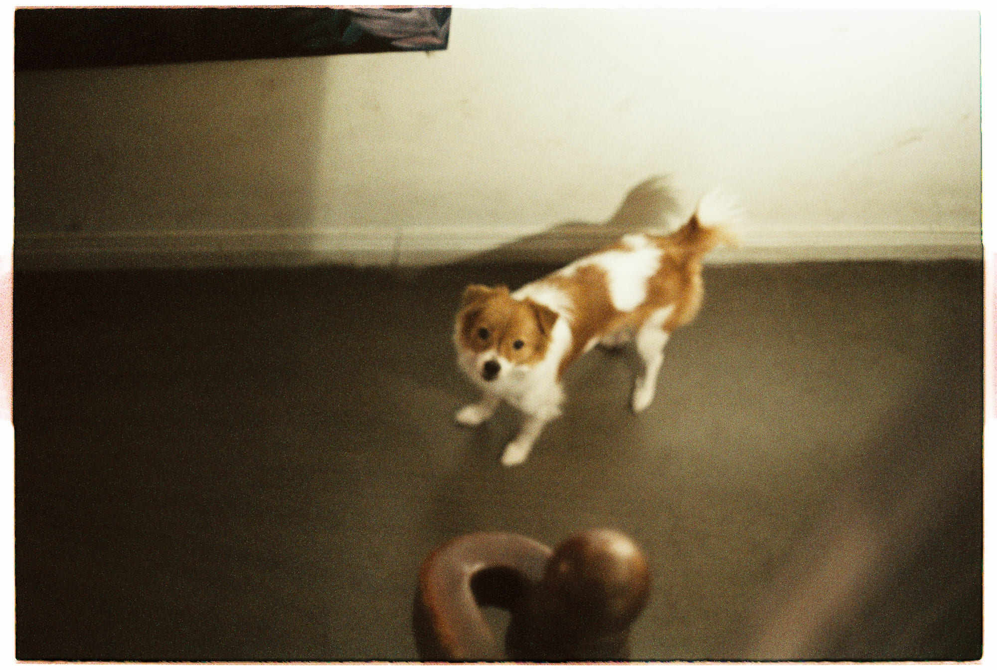 Trung tâm phát triển văn hóa đọc Nhà văn