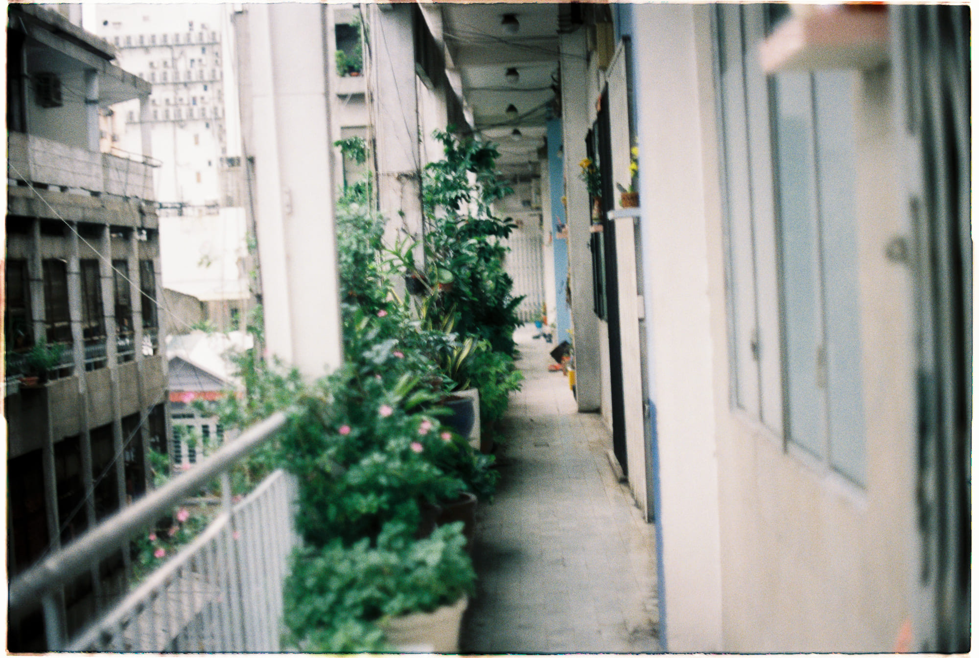 Vật lý lượng tử có thể giải thích tôn giáo không?