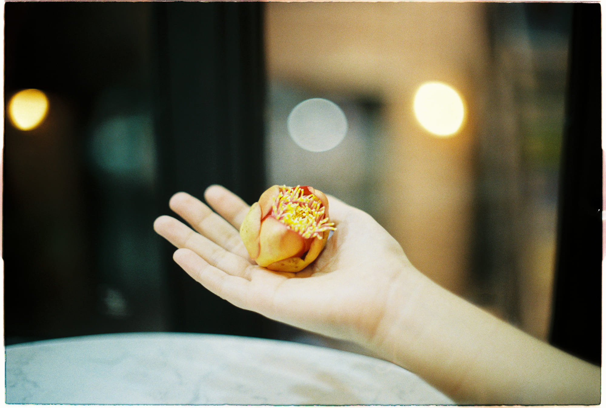 Những triết gia dự đoán các hình thức ý thức tối hậu