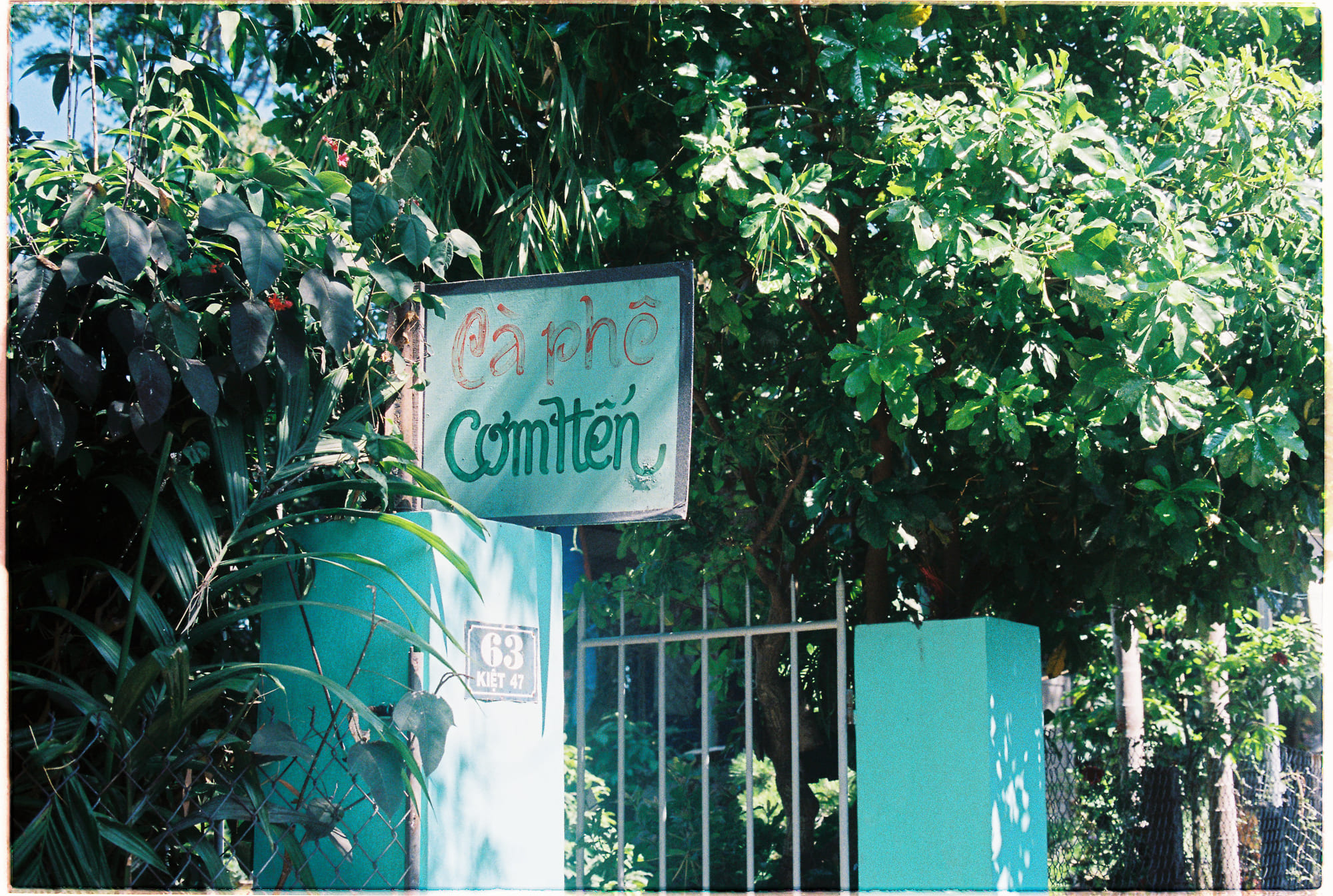 Thống kê có giải mã bản thảo Voynich