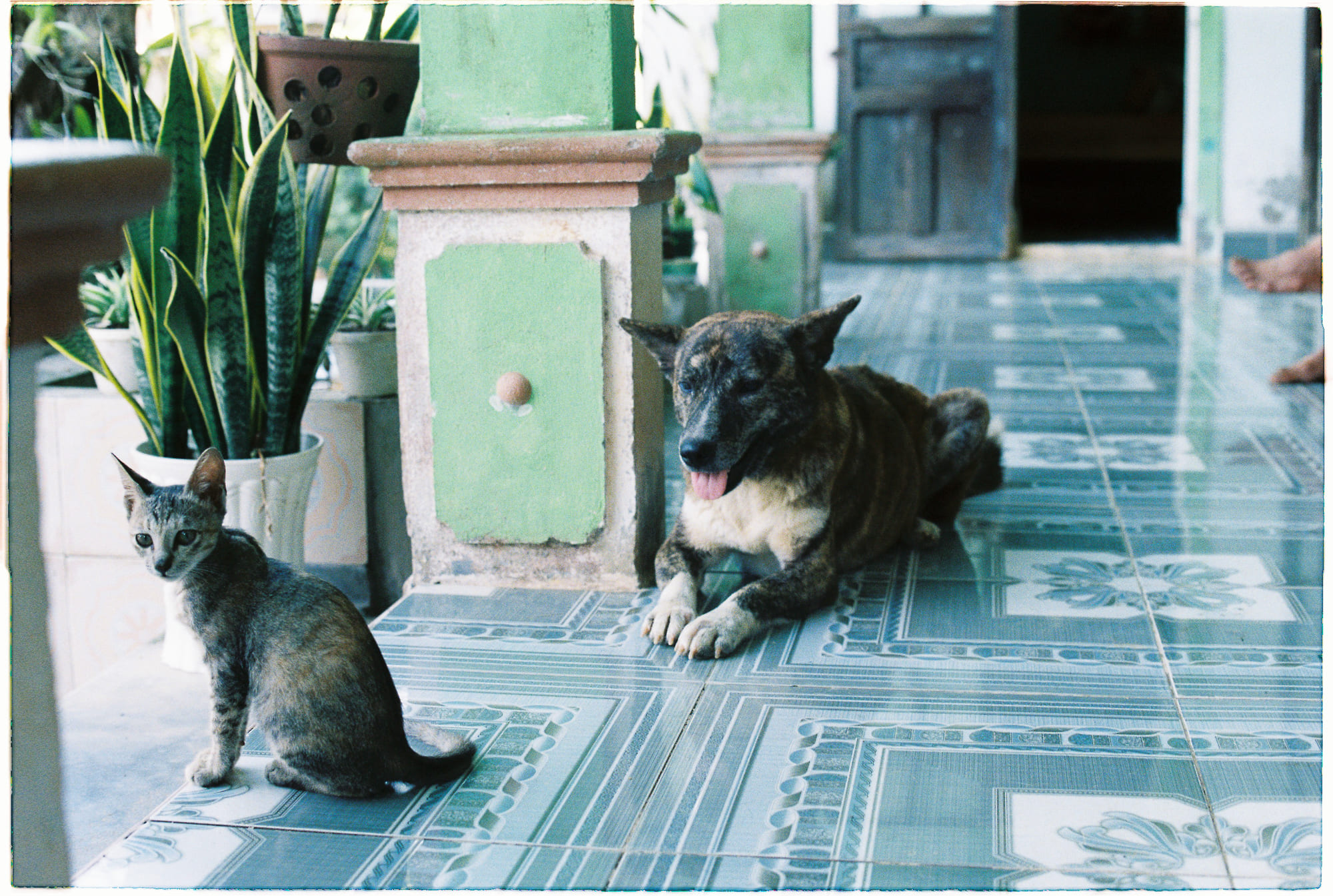 Trung tâm phát triển văn hóa đọc Nhà văn