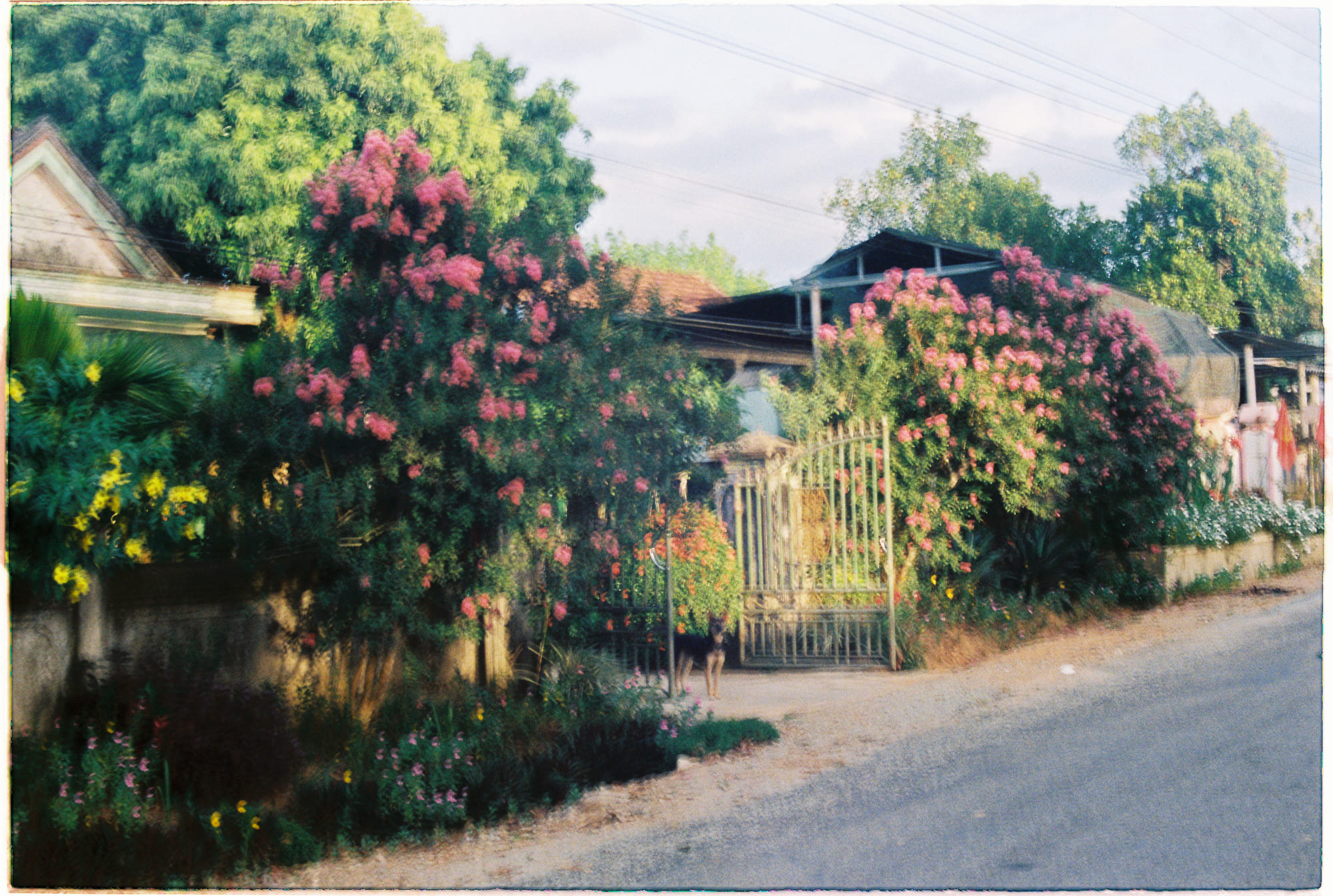 Khoa học thần kinh chứng minh đọc nhanh vô lý