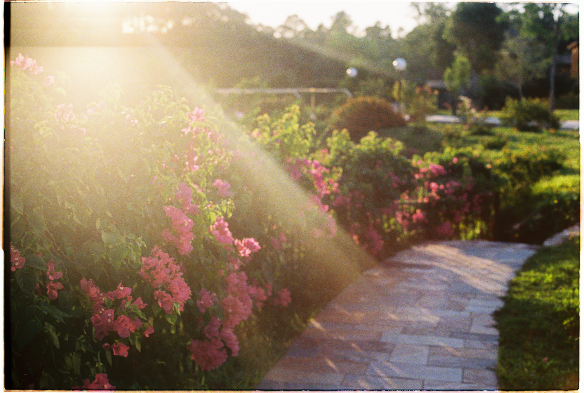 Quy tắc vàng của sinh học