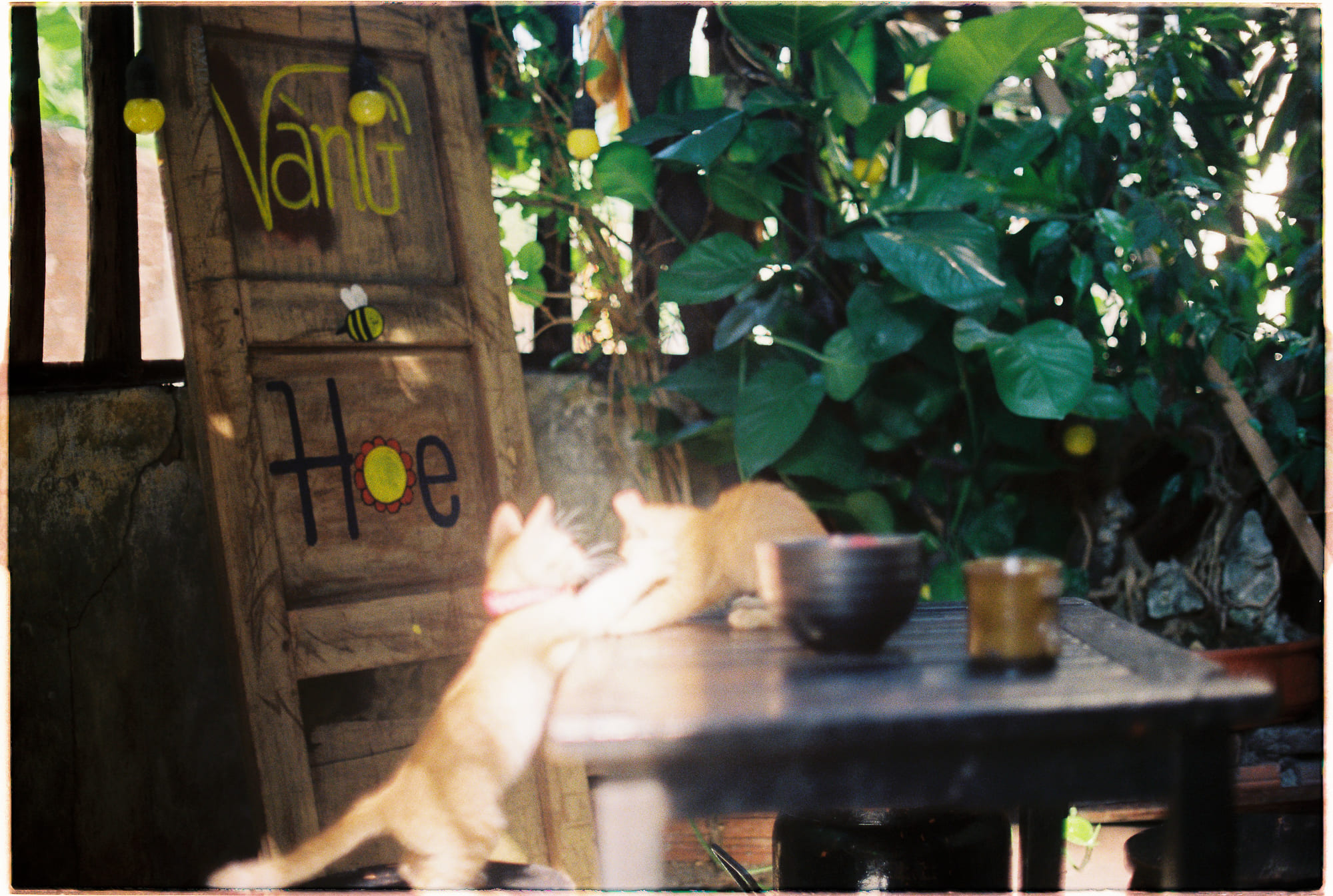 Trung tâm phát triển văn hóa đọc Nhà văn