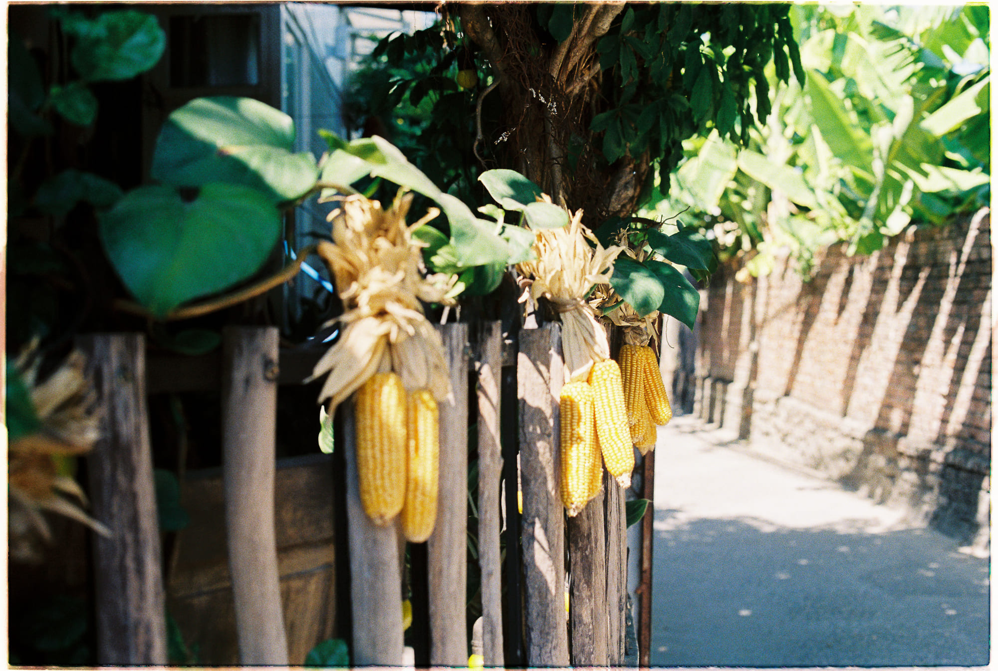 Trung tâm phát triển văn hóa đọc Nhà văn