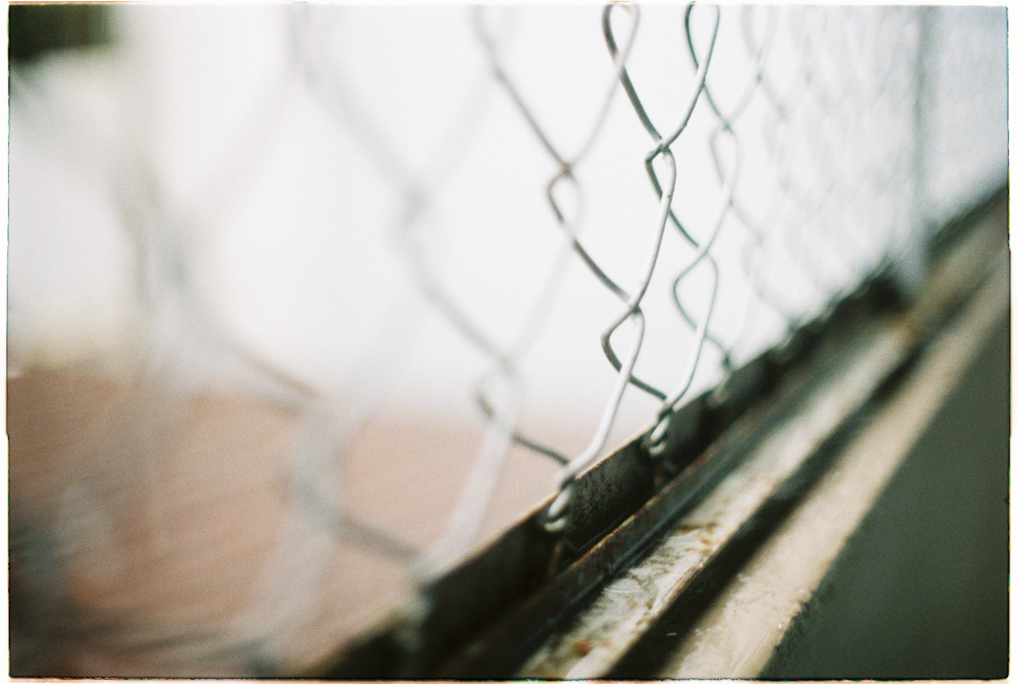 To-do list triết gia 103 tuổi vượt qua cách ly