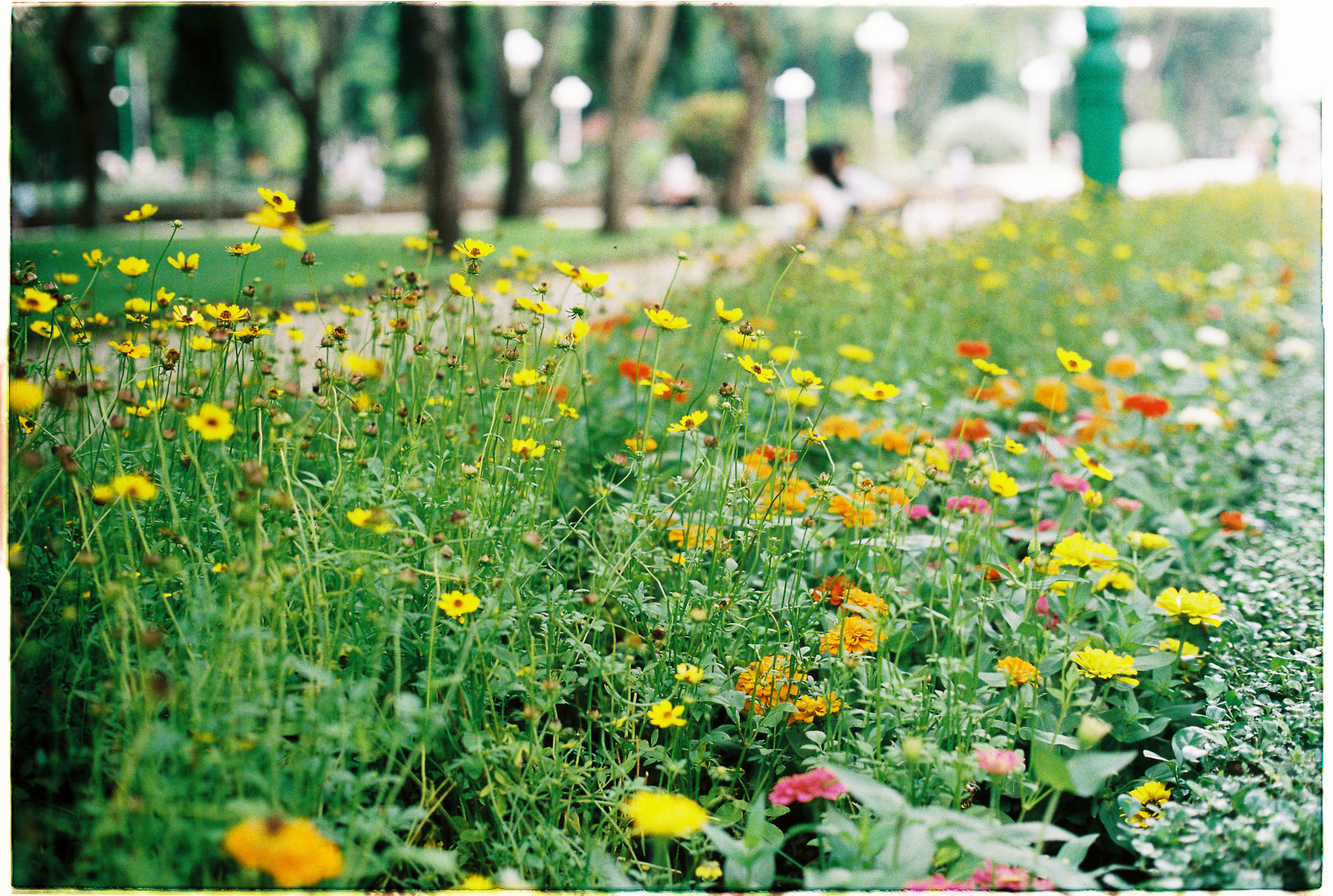 Tối ưu tập trung bằng băng thông ý thức