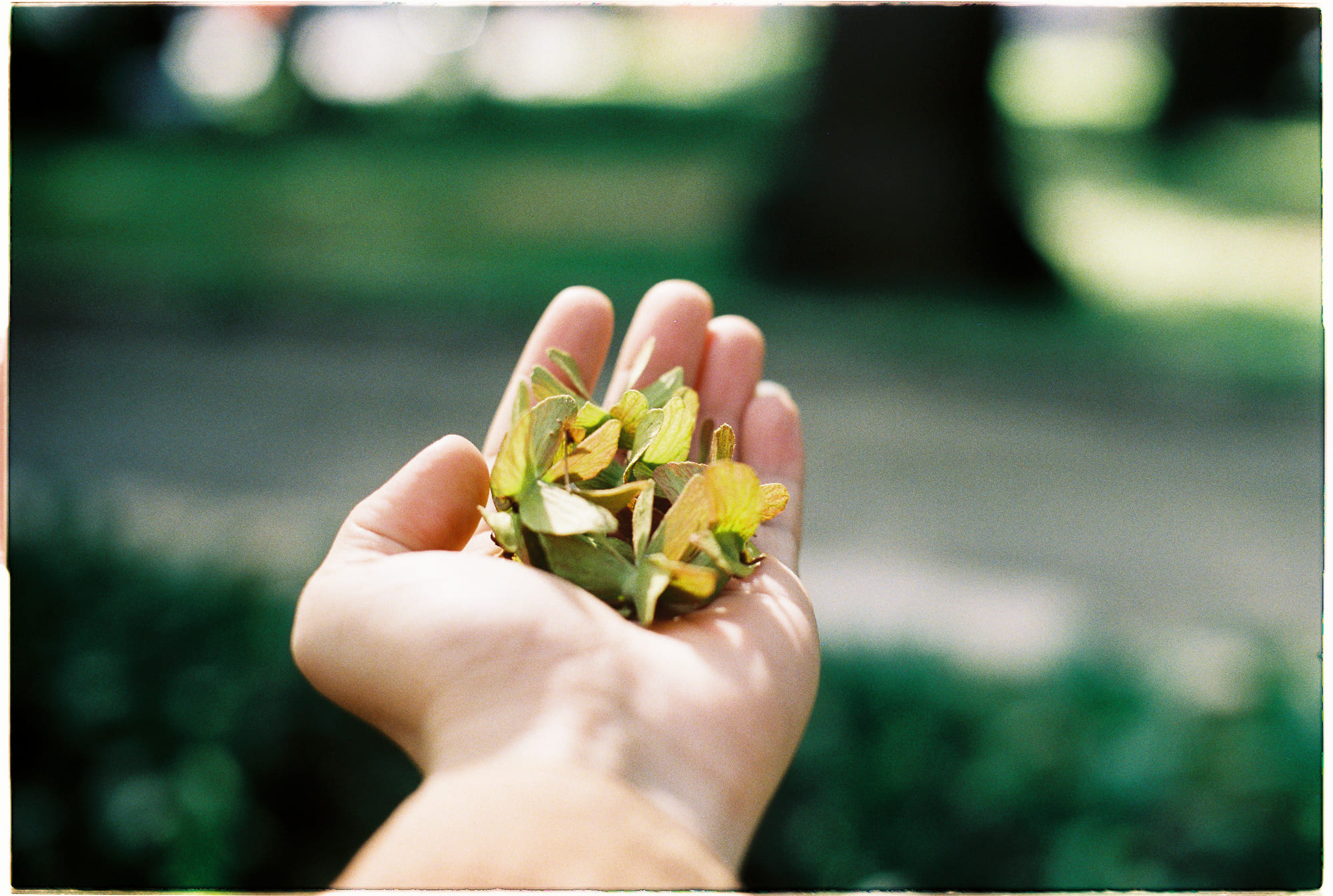 Sống xanh an lành khi dùng lại áo quần cũ