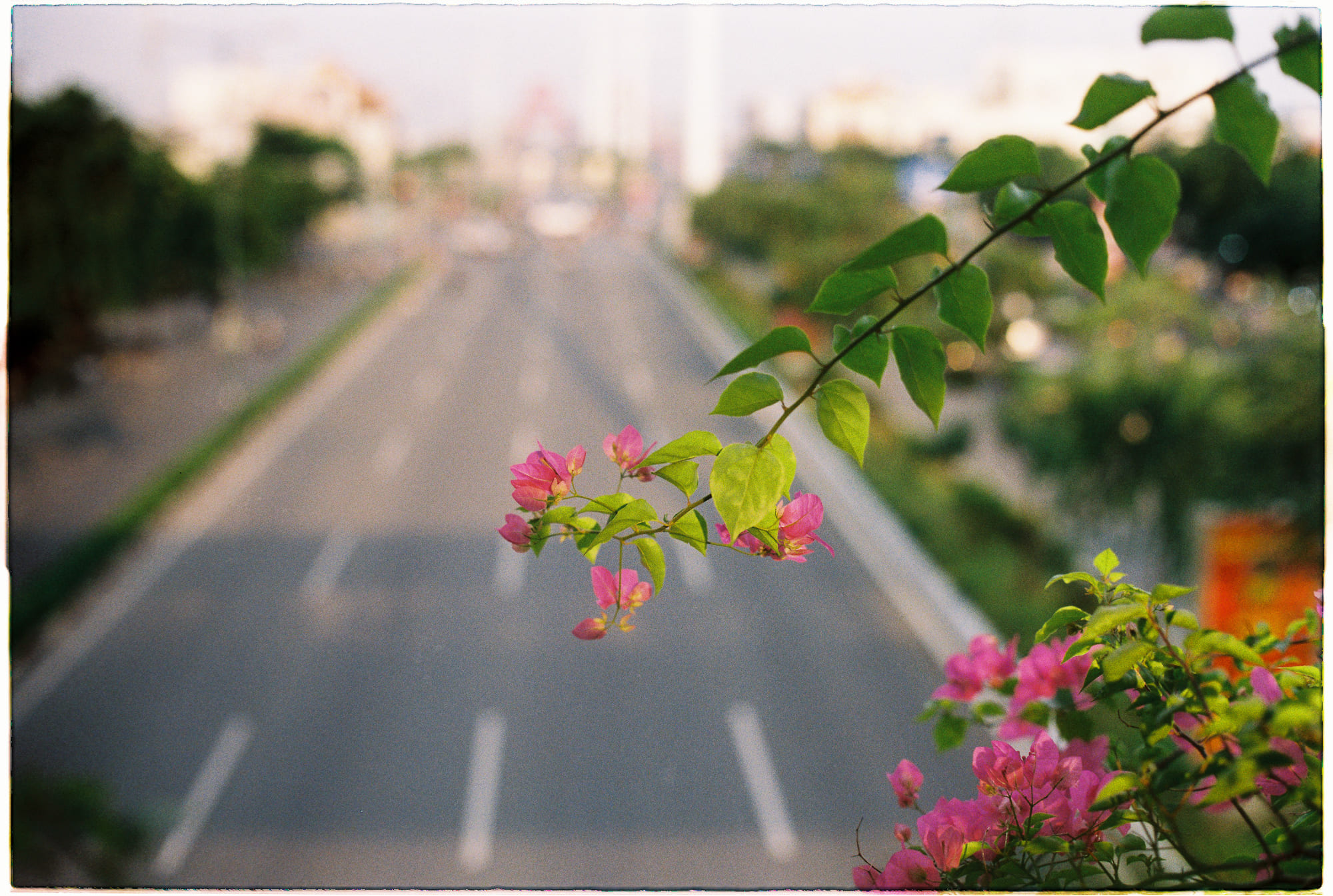 Chạy bền là tài năng tiềm ẩn của loài người