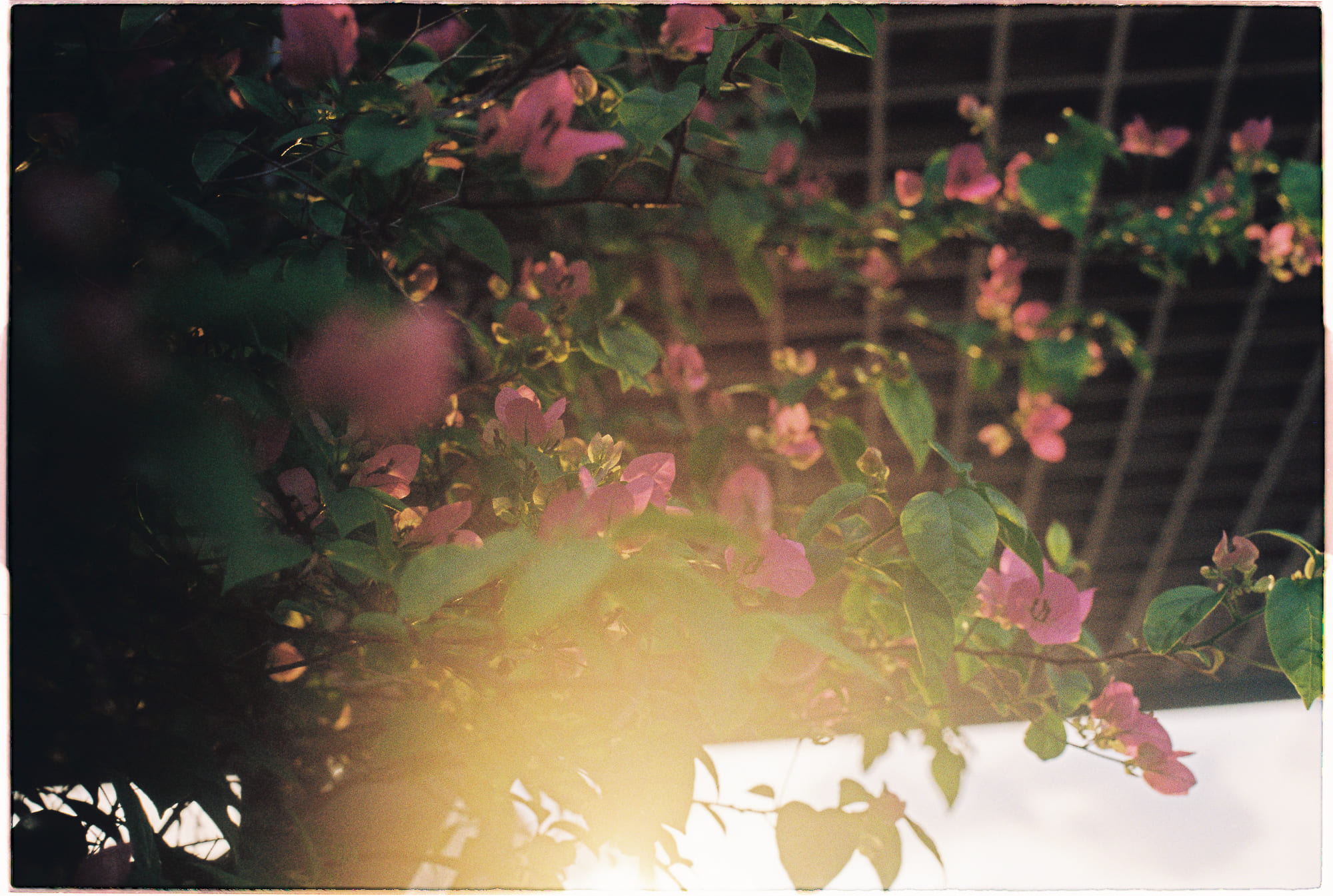 Di cư nông thôn và sự xói mòn vốn xã hội, tri thức địa phương trong làng quê Việt Nam như thế nào?