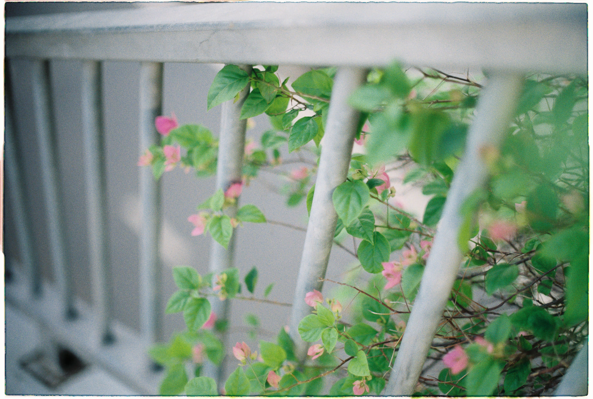 Cố gắng hơn không phải lúc nào cũng là giải pháp