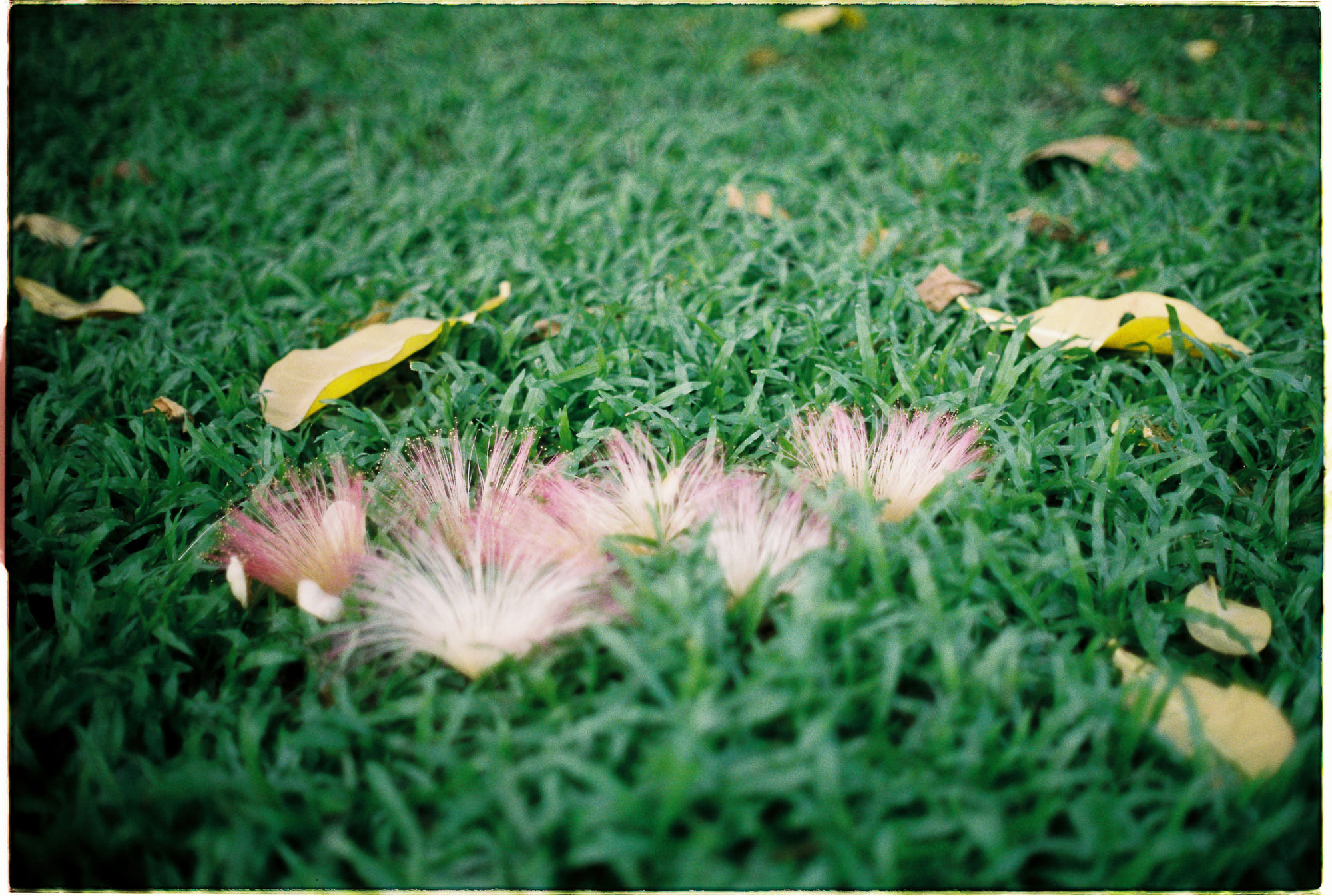 Lược sử thời gian