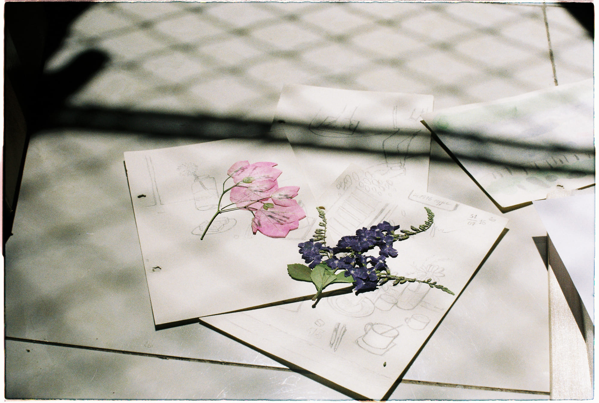 Uống rượu trong lễ Giáng sinh có từ đâu