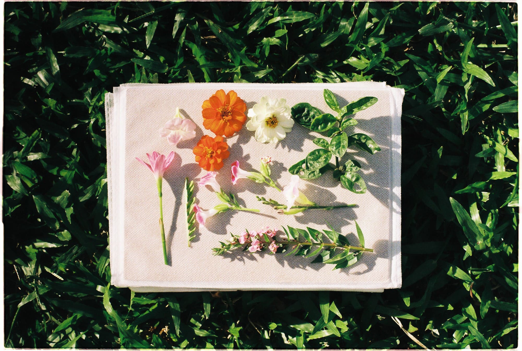 Ngũ uẩn (Pañcaskandha – 五蘊) là gì?