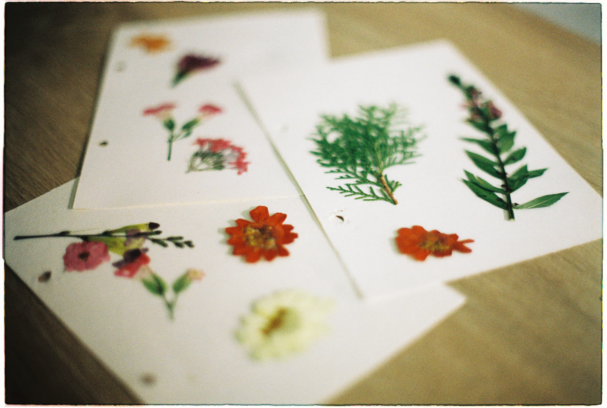 Trung tâm phát triển văn hóa đọc Nhà văn