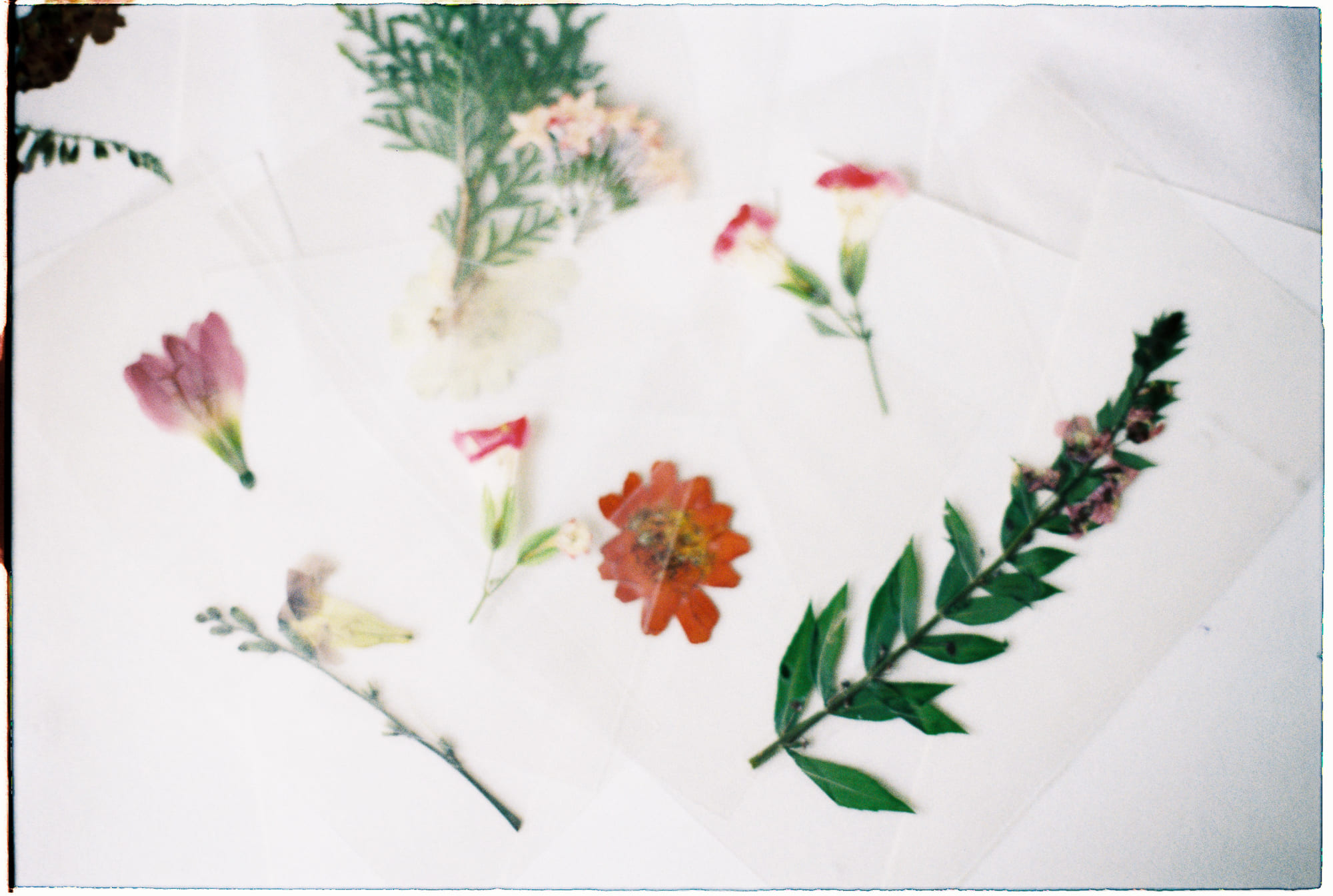 Esperanto ngôn ngữ nhân tạo thống nhất loài người