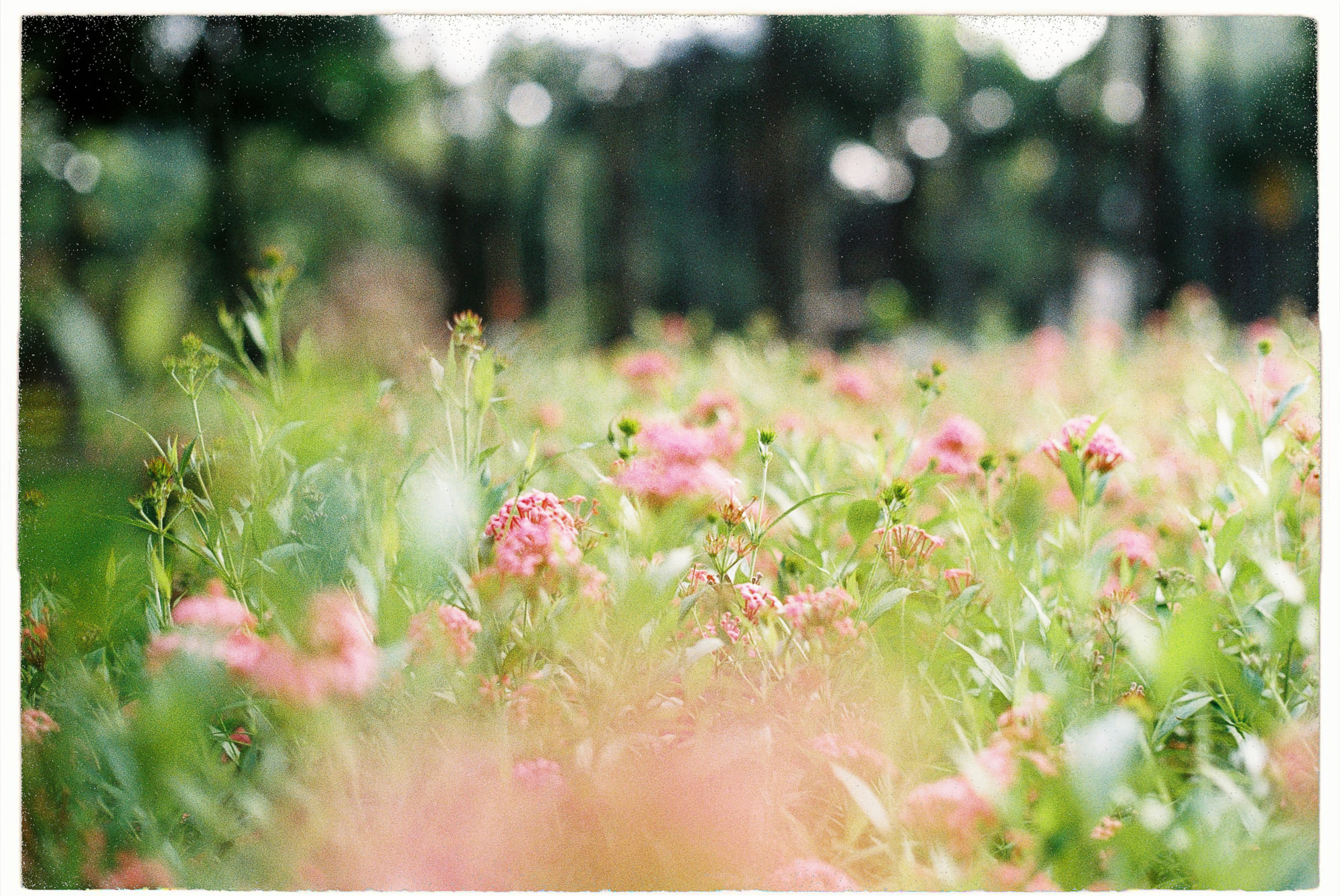 Suy nghĩ về Chúa có thể khuyến khích chấp nhận rủi ro