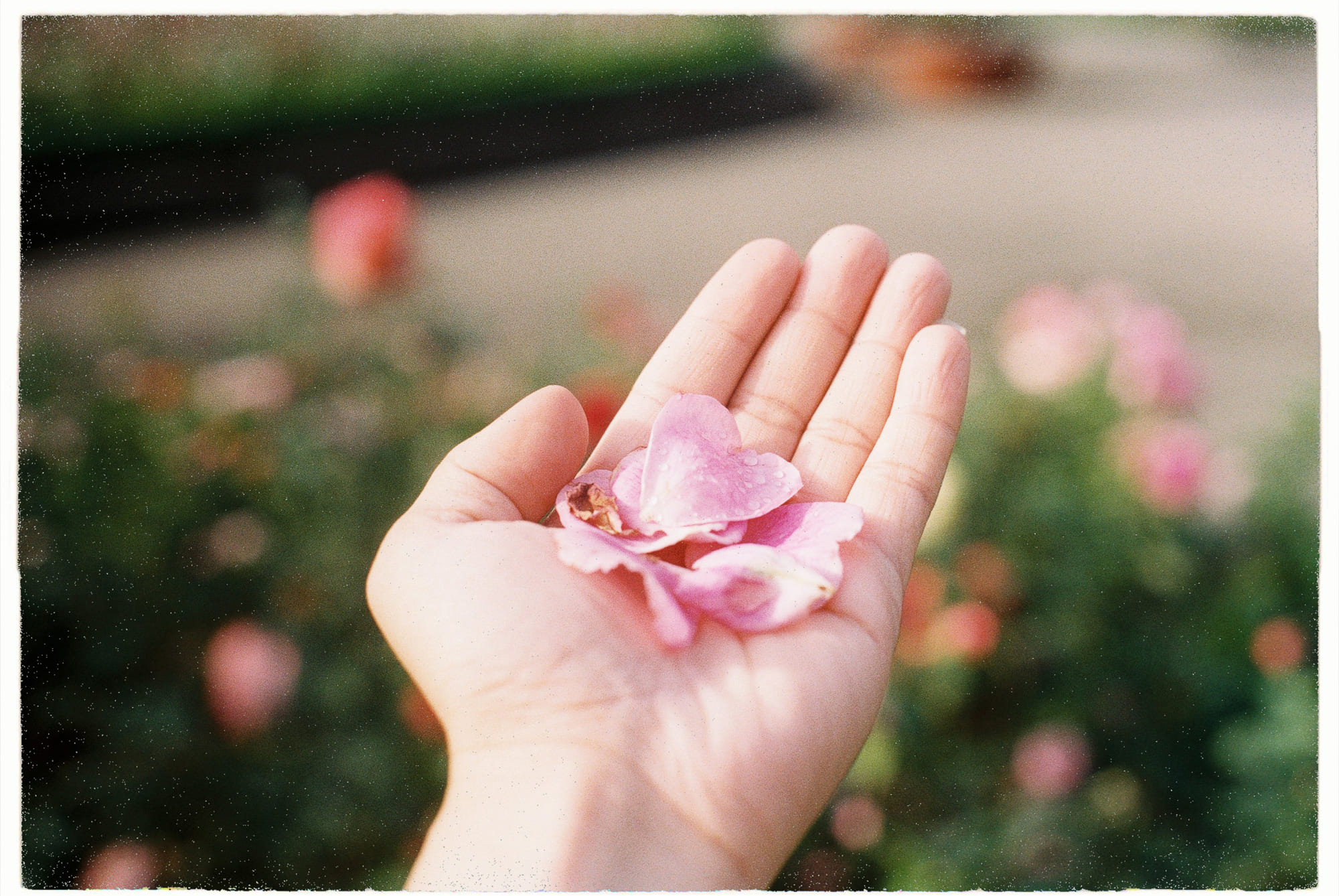 Không làm gì mà sao vẫn mệt?