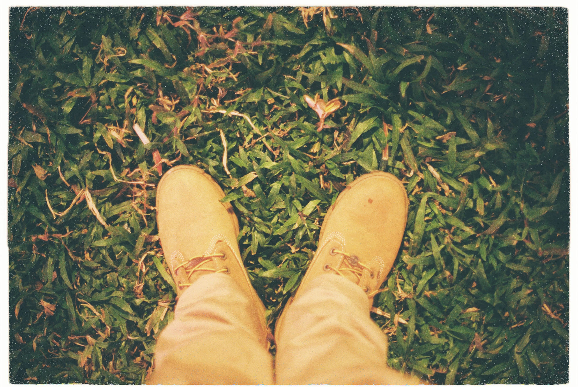 Trung tâm phát triển văn hóa đọc Nhà văn