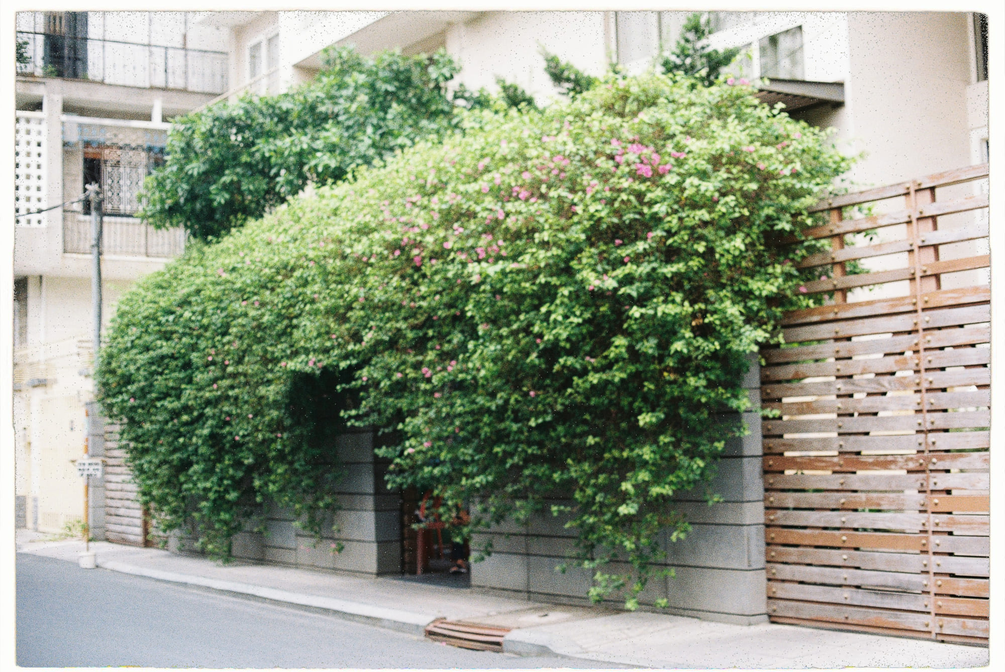 Hội chứng Tourette thành hiện tượng lan truyền