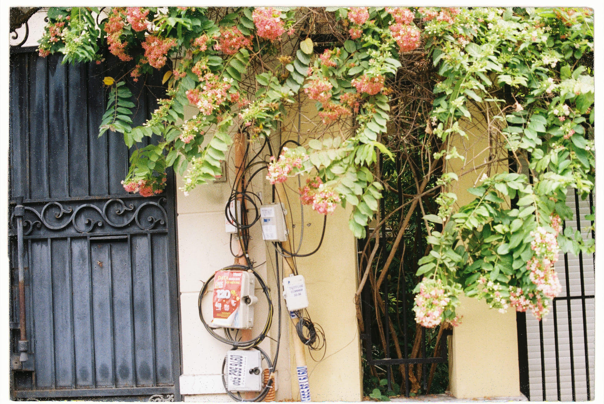 Khoa học và tôn giáo có thể hòa hợp với nhau không?